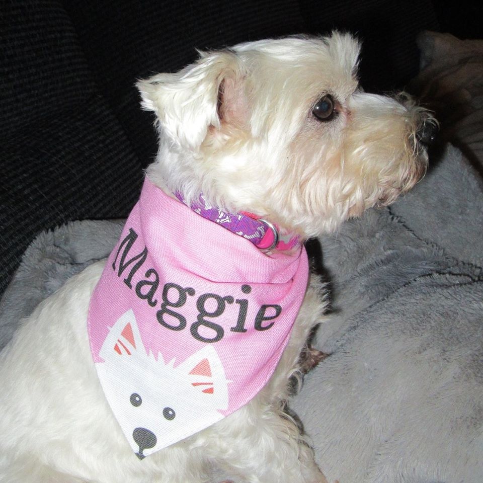Customer photo of Peeking Icon: Personalized Lhasapoo Bandana