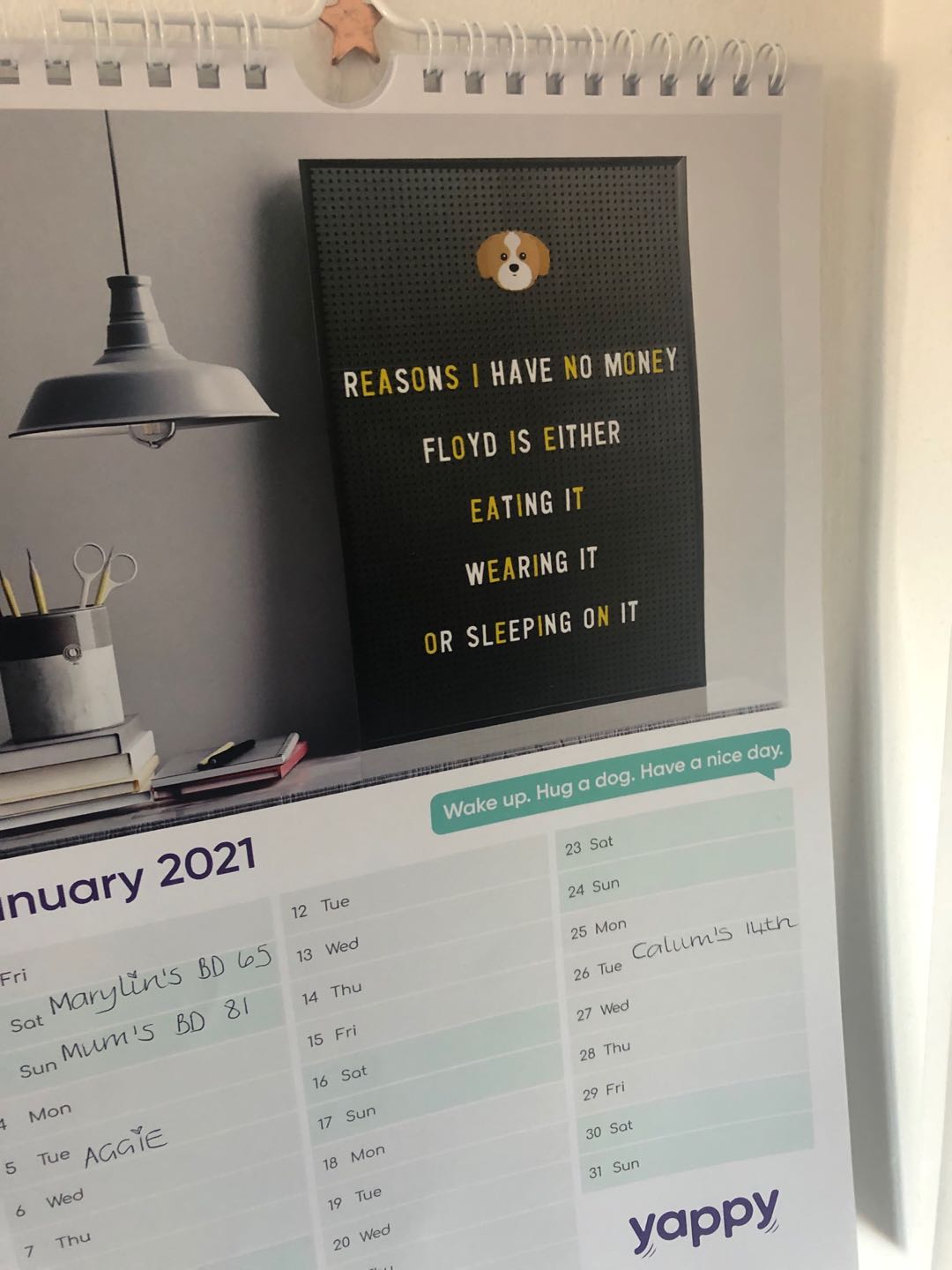 Customer photo of Personalised Dog Calendar for Your Dog