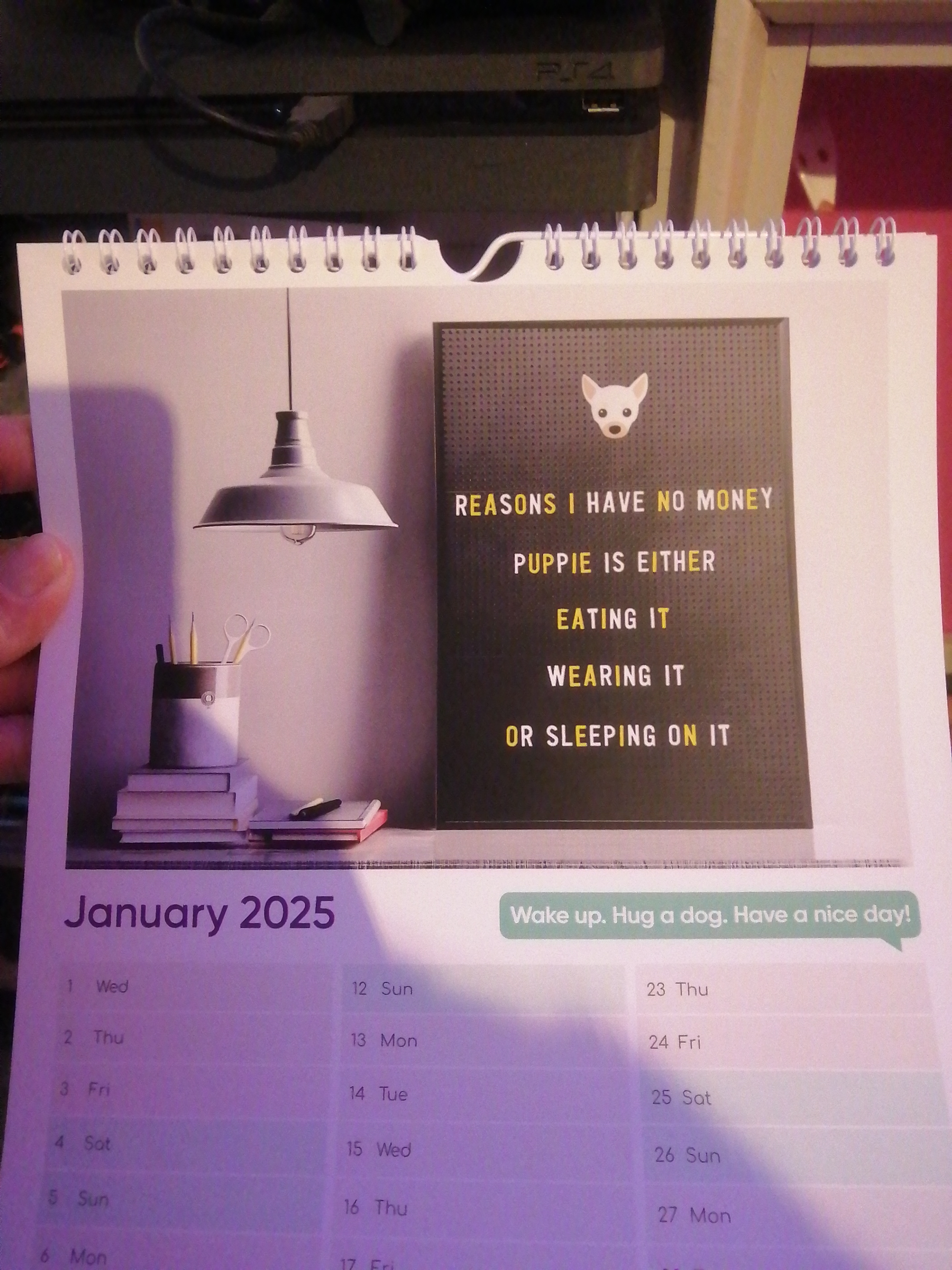 Customer photo of Personalised Dog Calendar for Your Dog