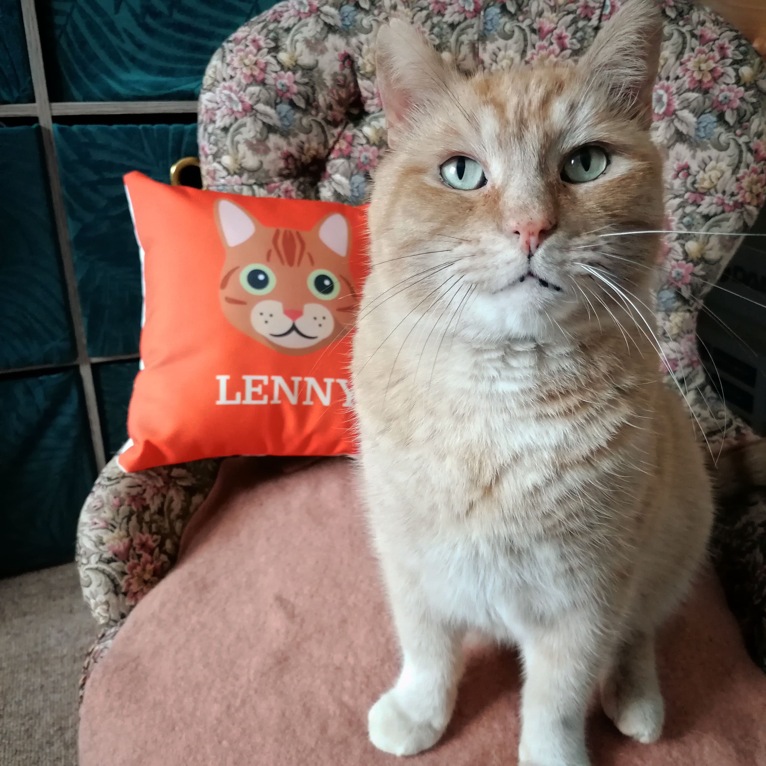Customer photo of Devon Rex's Icon: Personalised Devon Rex Canvas Cushion