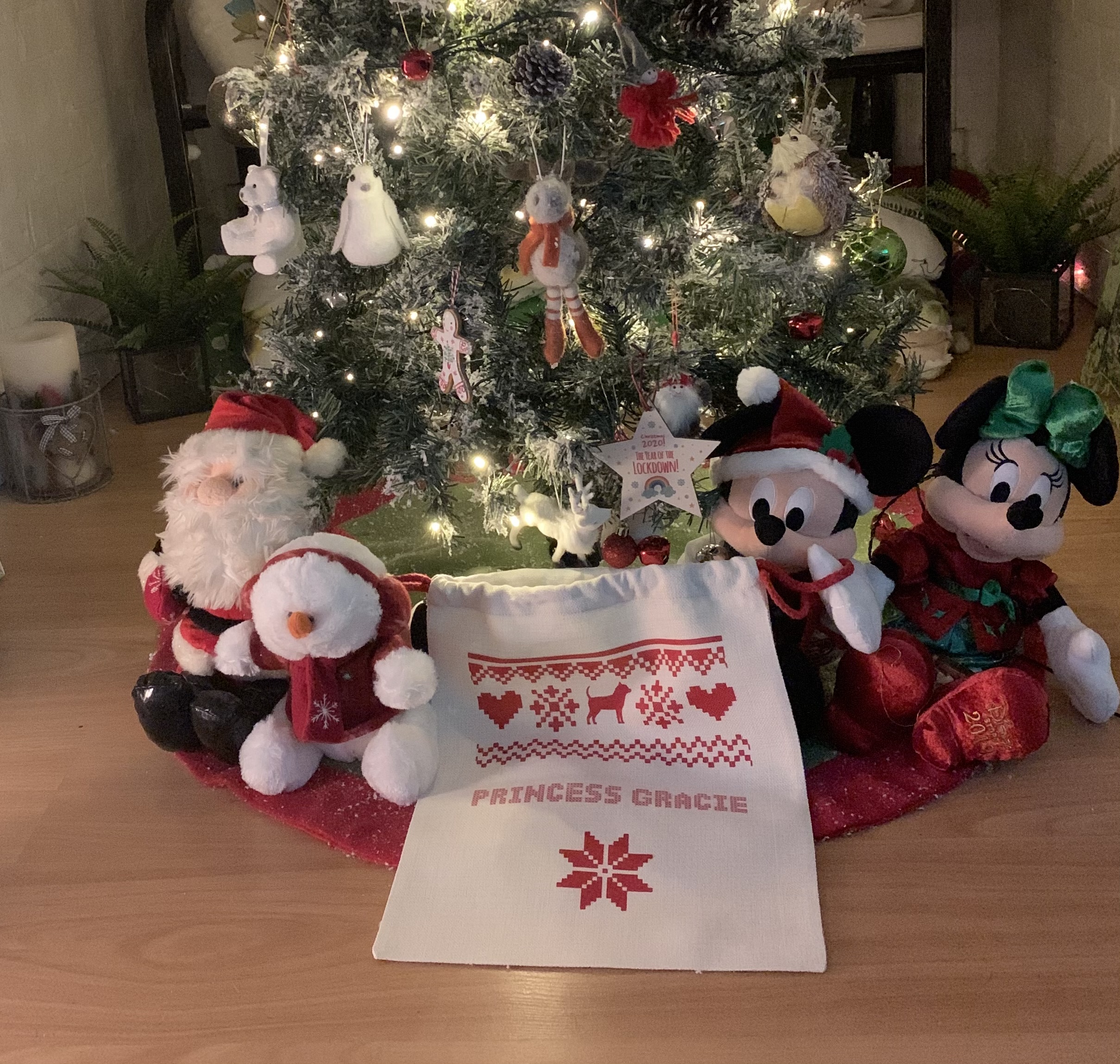 Customer photo of Christmas Jumper: Personalized Dog Santa Sack