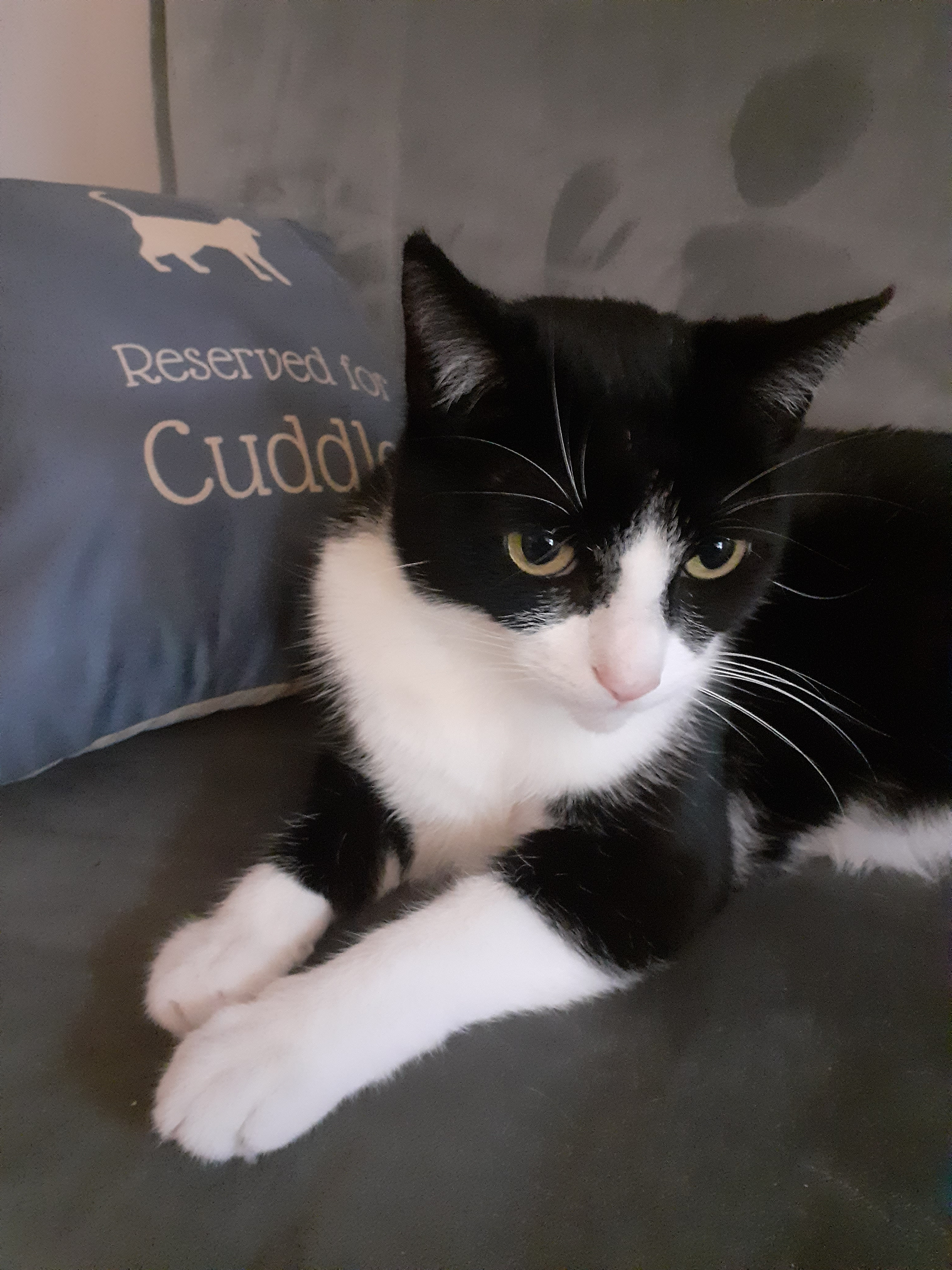 Customer photo of Reserved for Ashera: Personalised Ashera Soft Touch Cushion