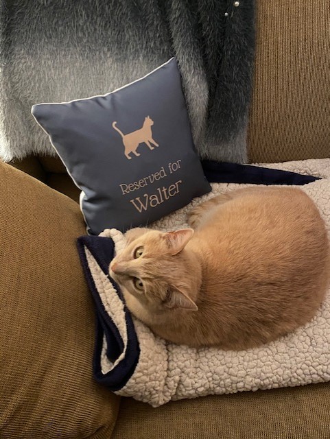 Customer photo of Reserved for Ashera: Personalised Ashera Soft Touch Cushion