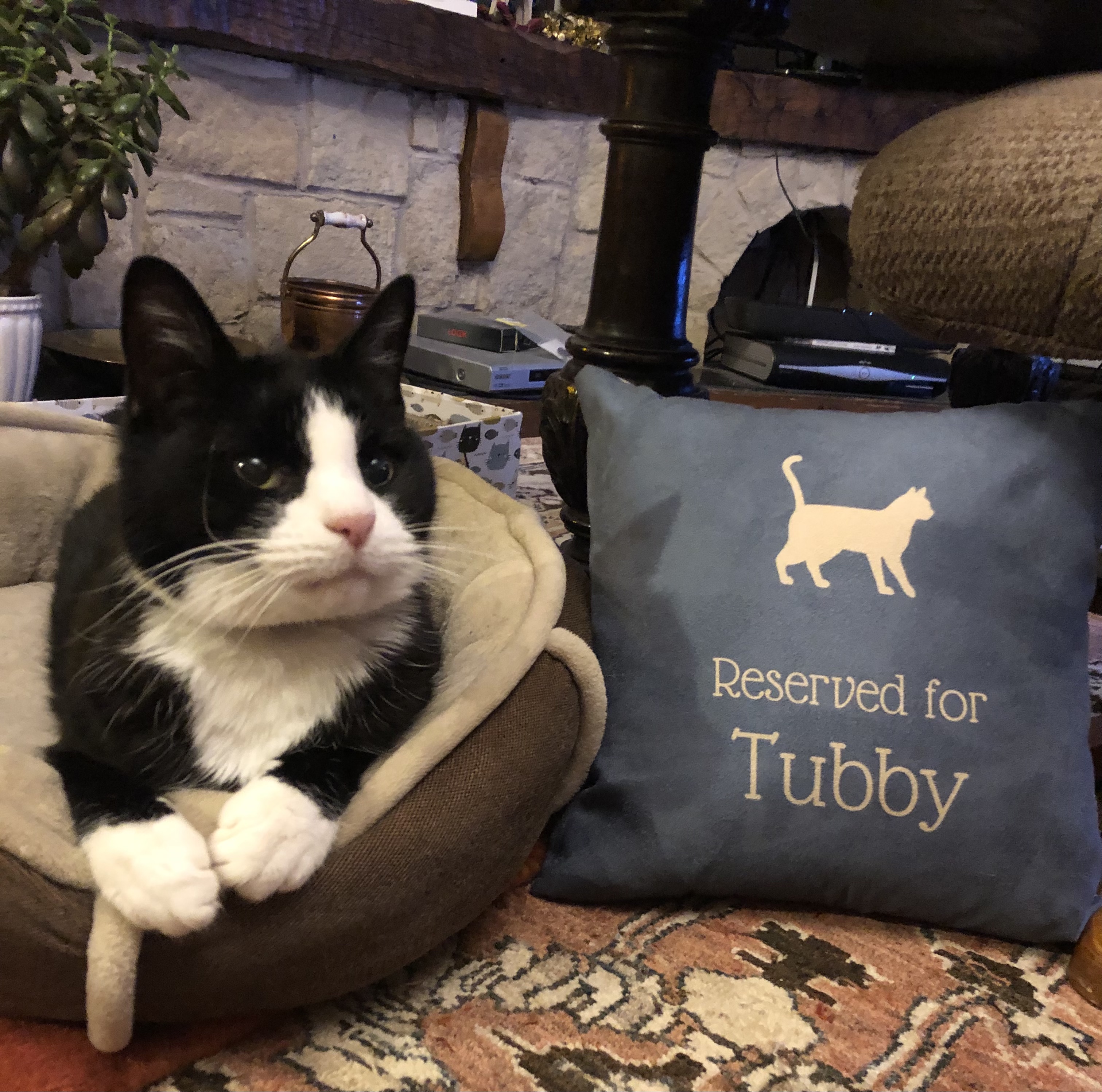 Customer photo of Reserved for Ashera: Personalised Ashera Soft Touch Cushion