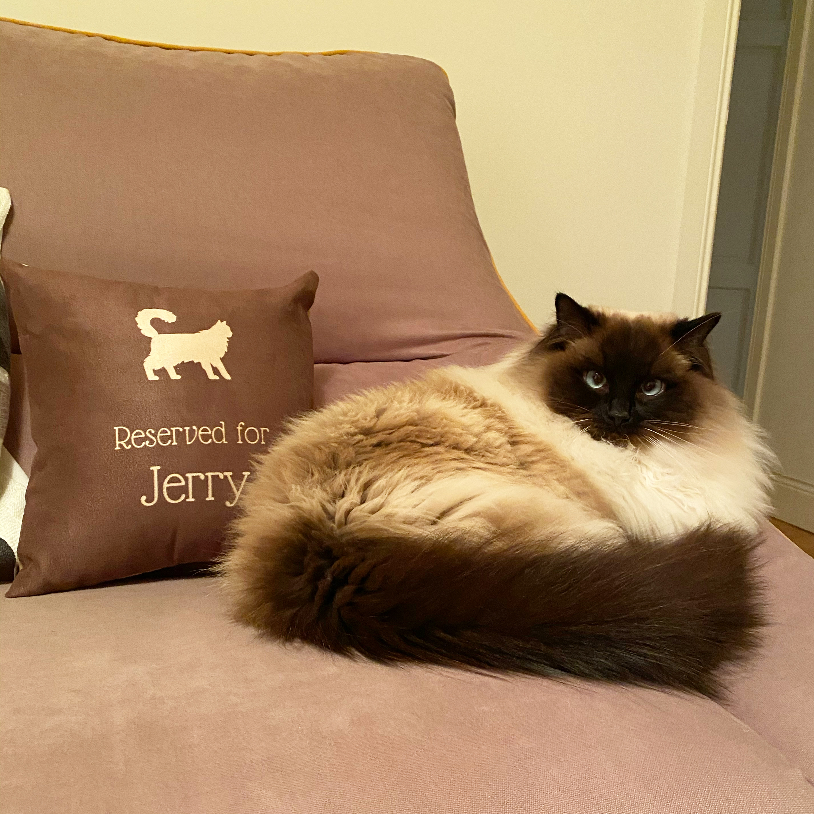 Customer photo of Reserved for Ashera: Personalised Ashera Soft Touch Cushion