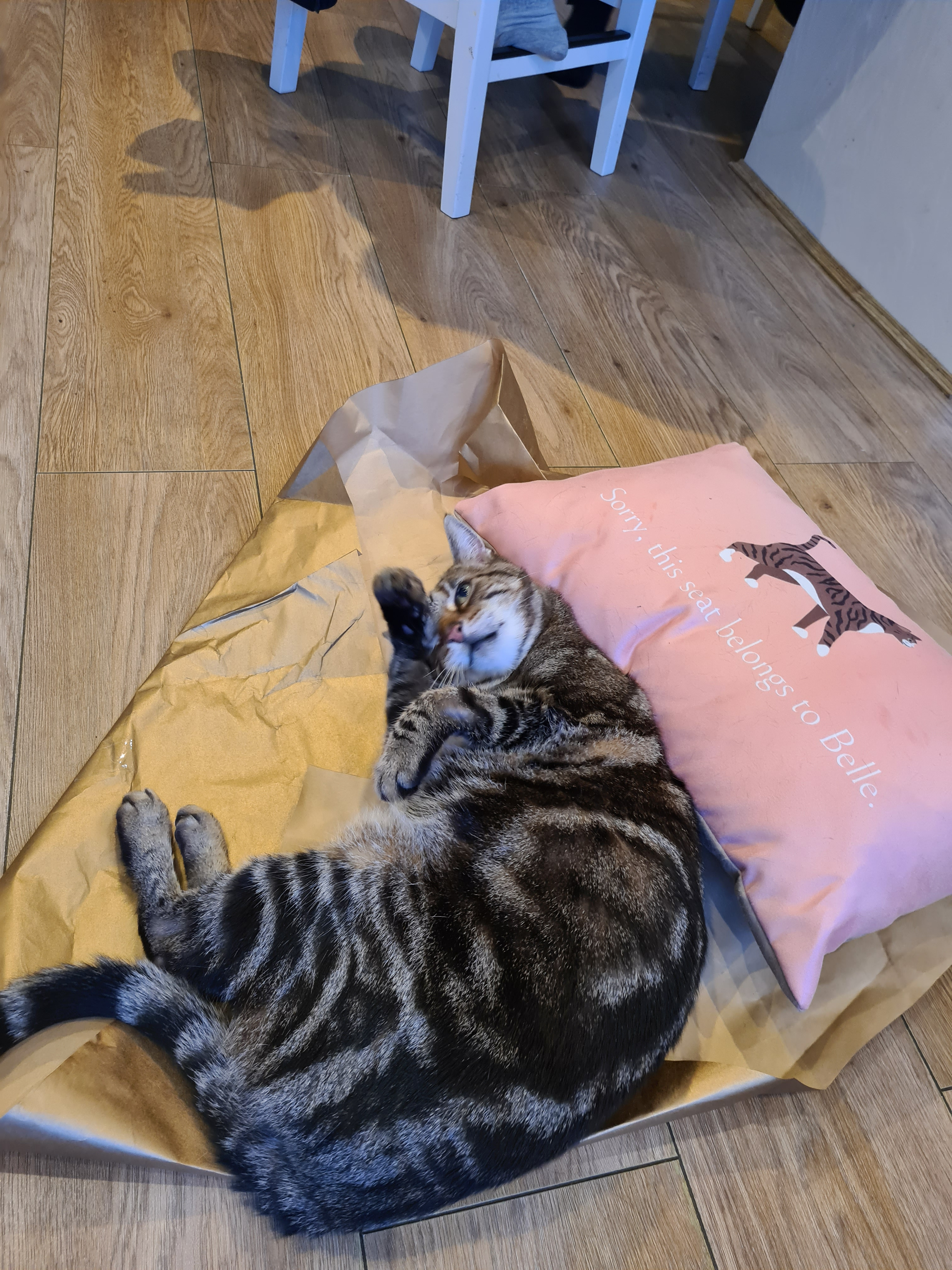 Customer photo of Sorry, This Seat Belongs to... : Personalised Devon Rex Soft Touch Cushion