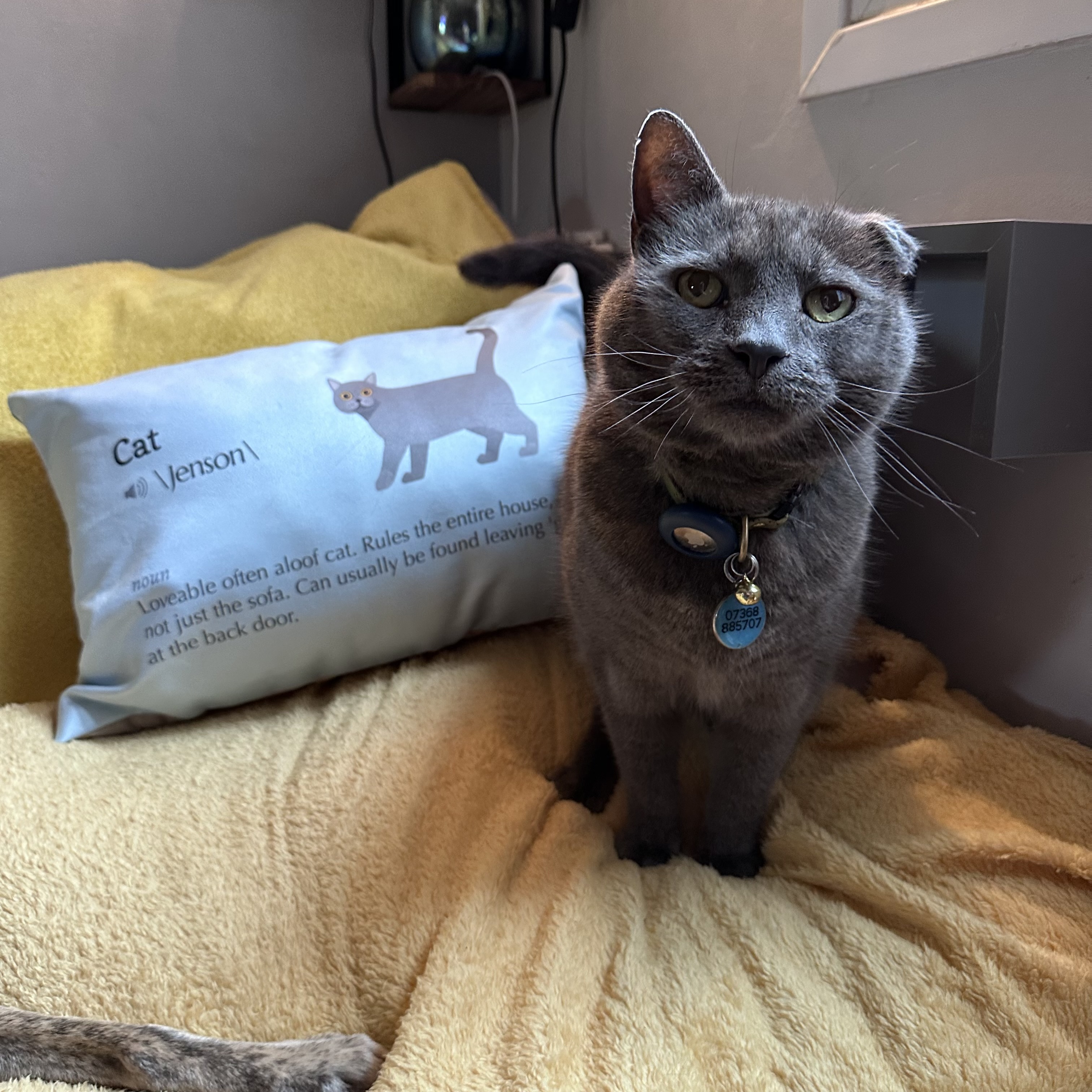 Customer photo of Ashera Definition: Personalised Soft Touch Cushion