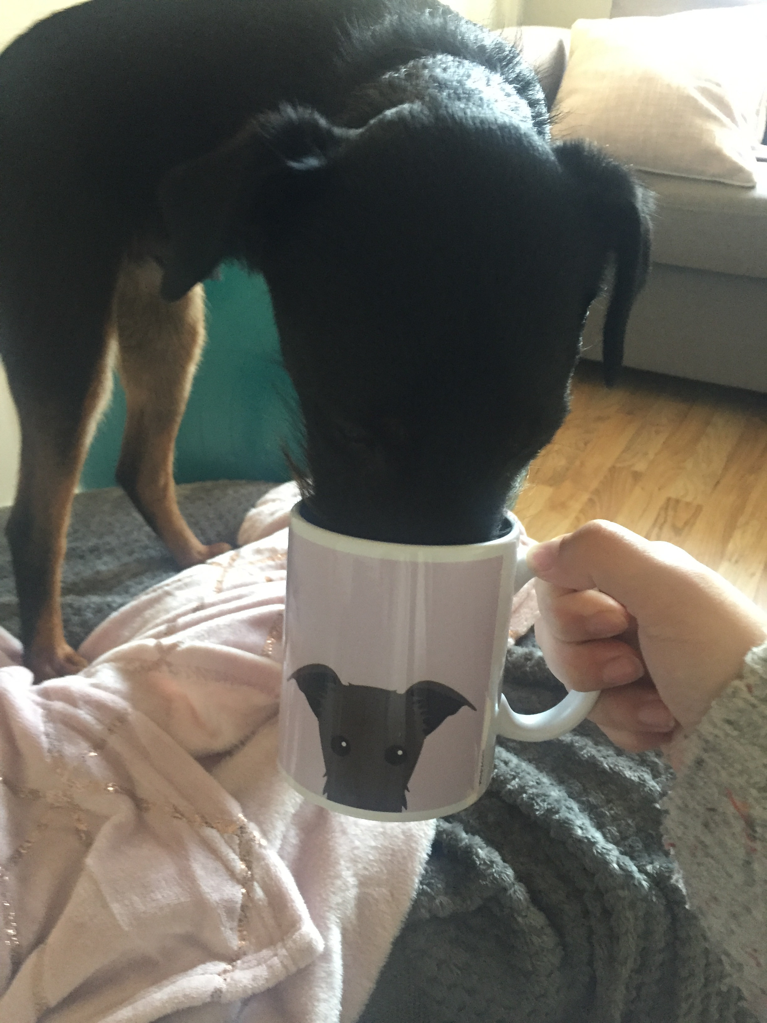 Customer photo of Peeking Icon: Personalized Lhasapoo Mug