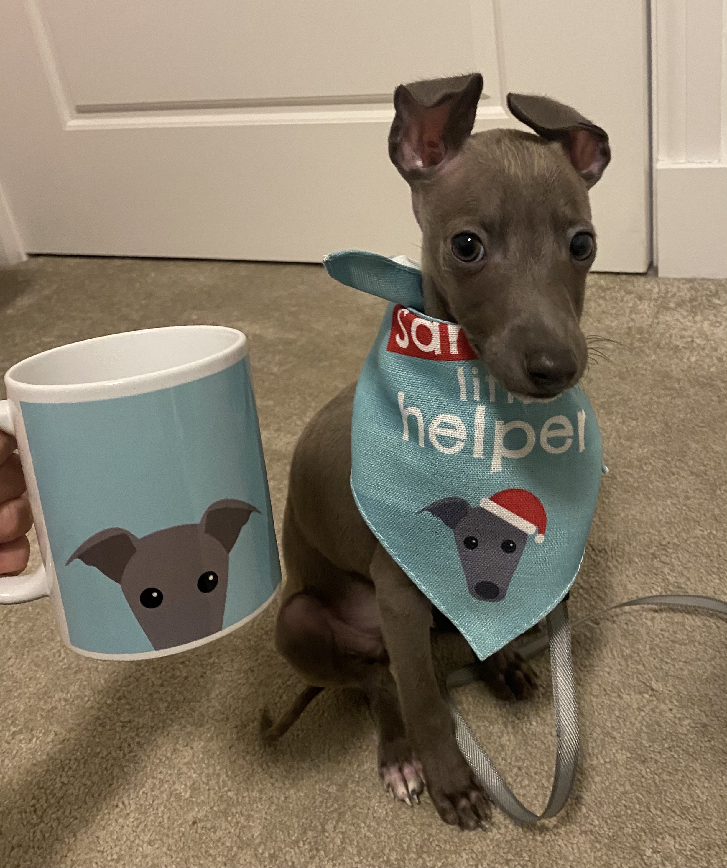 Customer photo of Peeking Icon: Personalized Lhasapoo Mug
