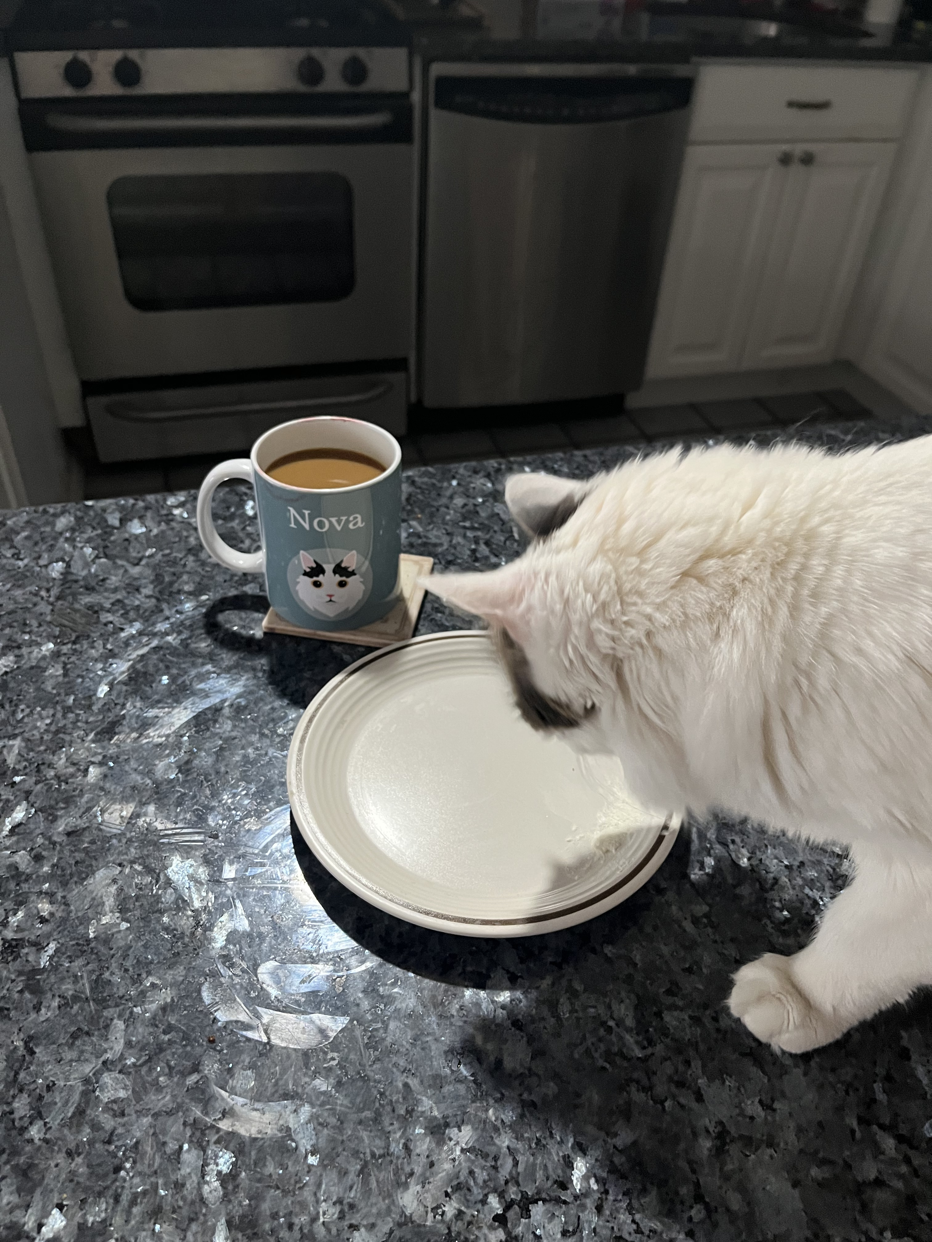 Customer photo of Cat Name & Icon: Personalised Ashera Mug