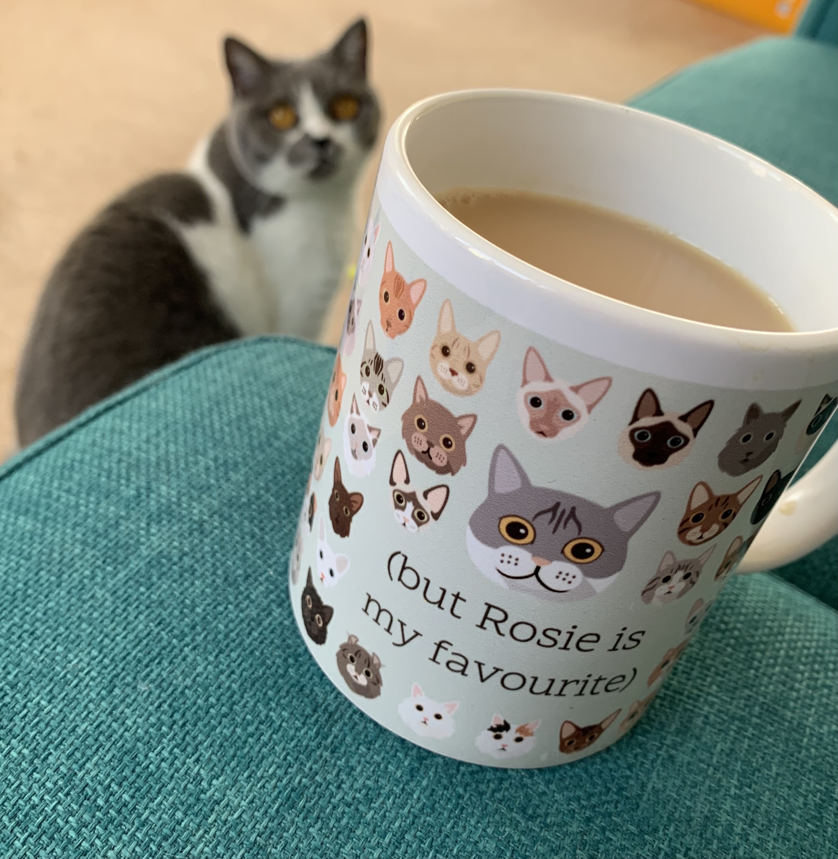 Customer photo of I Want All The Cats: Personalised Devon Rex Mug