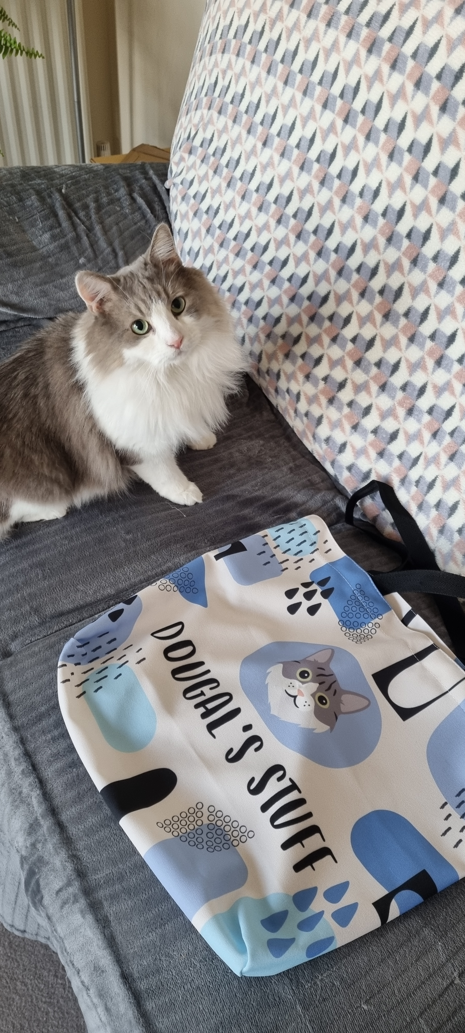 Customer photo of Personalised ‘Abstract’ Bag for Devon Rex’s Stuff