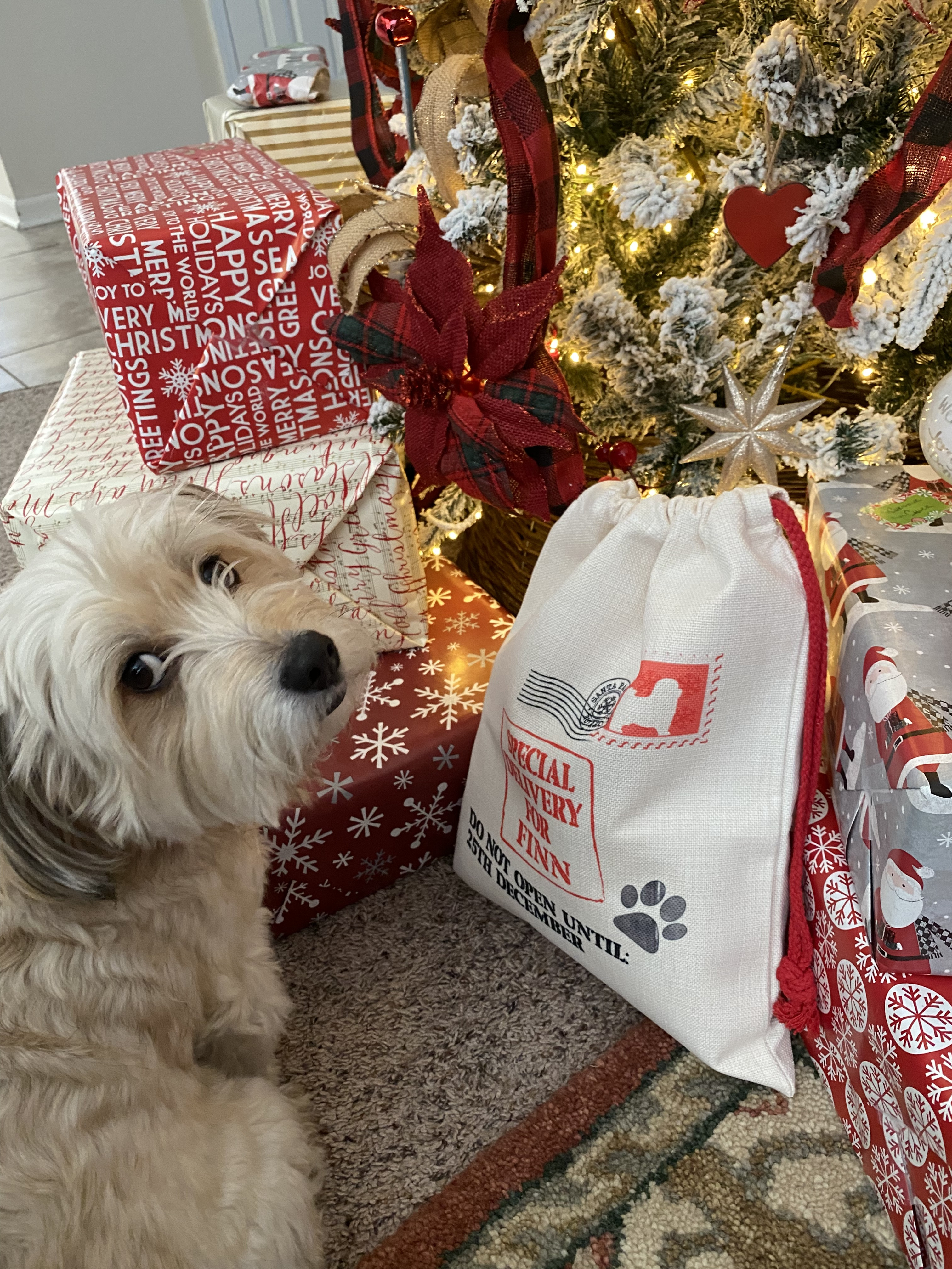 Customer photo of Special Delivery for Your Dog: Personalised Dog Santa Sack