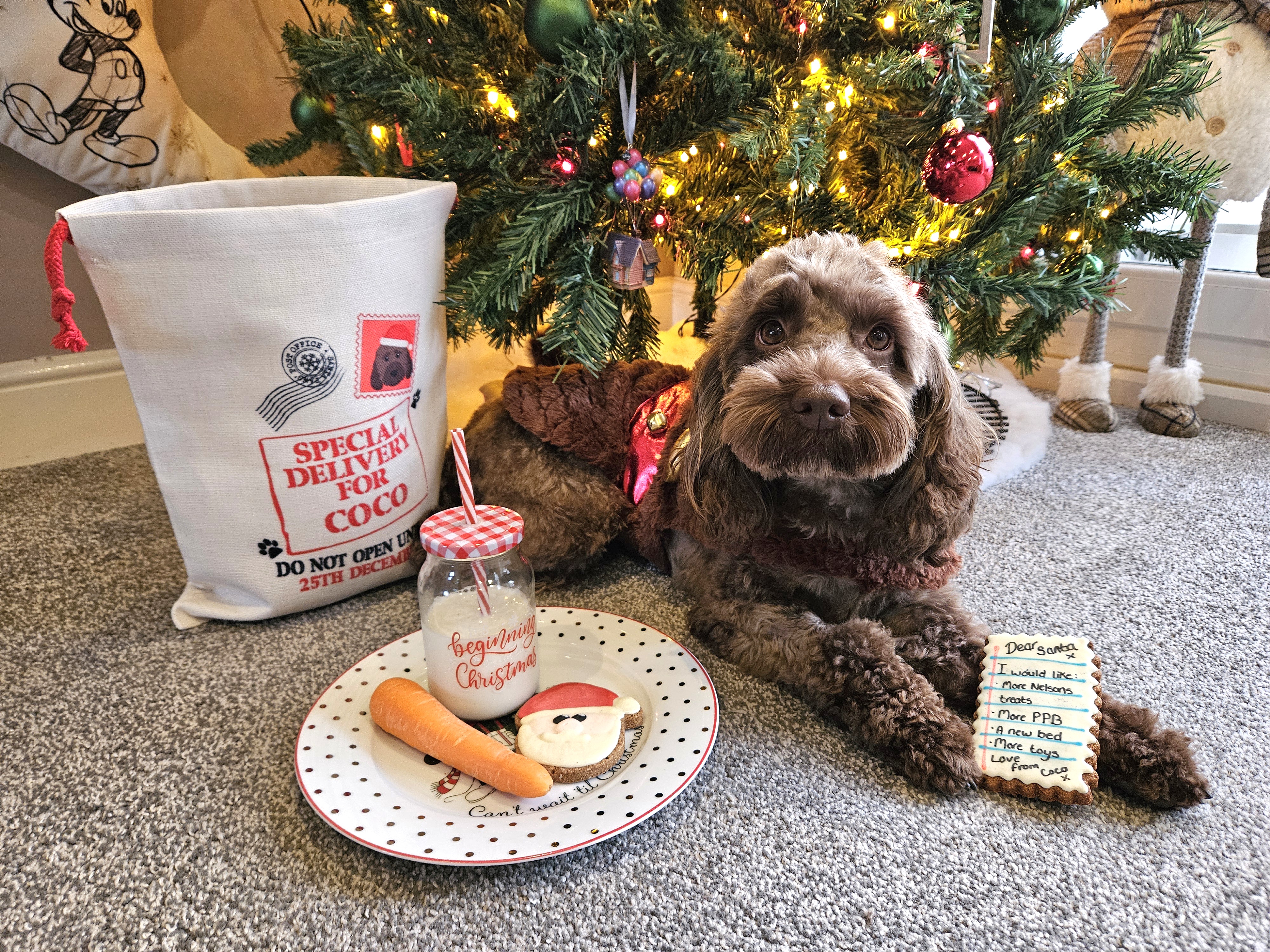 Customer photo of Special Delivery for Your Dog: Personalised Dog Santa Sack