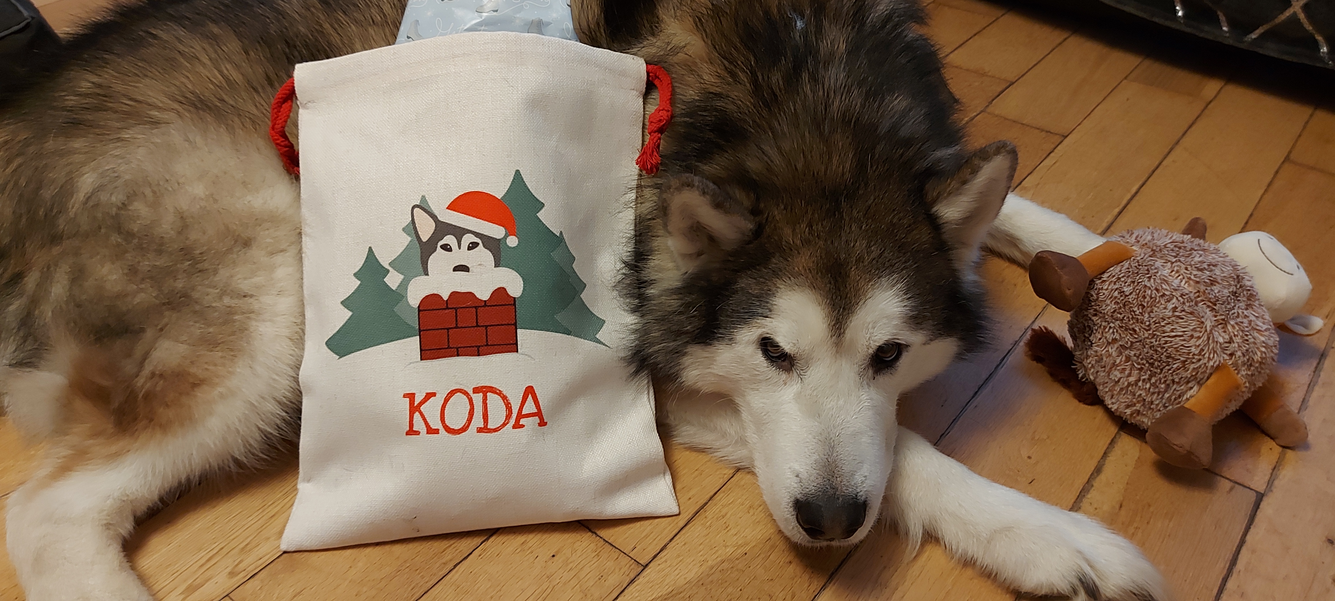 Customer photo of Snowy Chimney: Personalised Dog Santa Sack