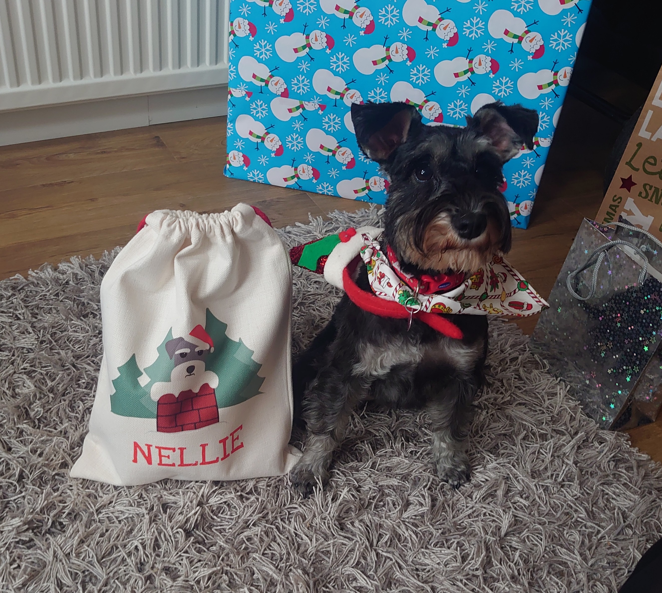 Customer photo of Snowy Chimney: Personalised Dog Santa Sack