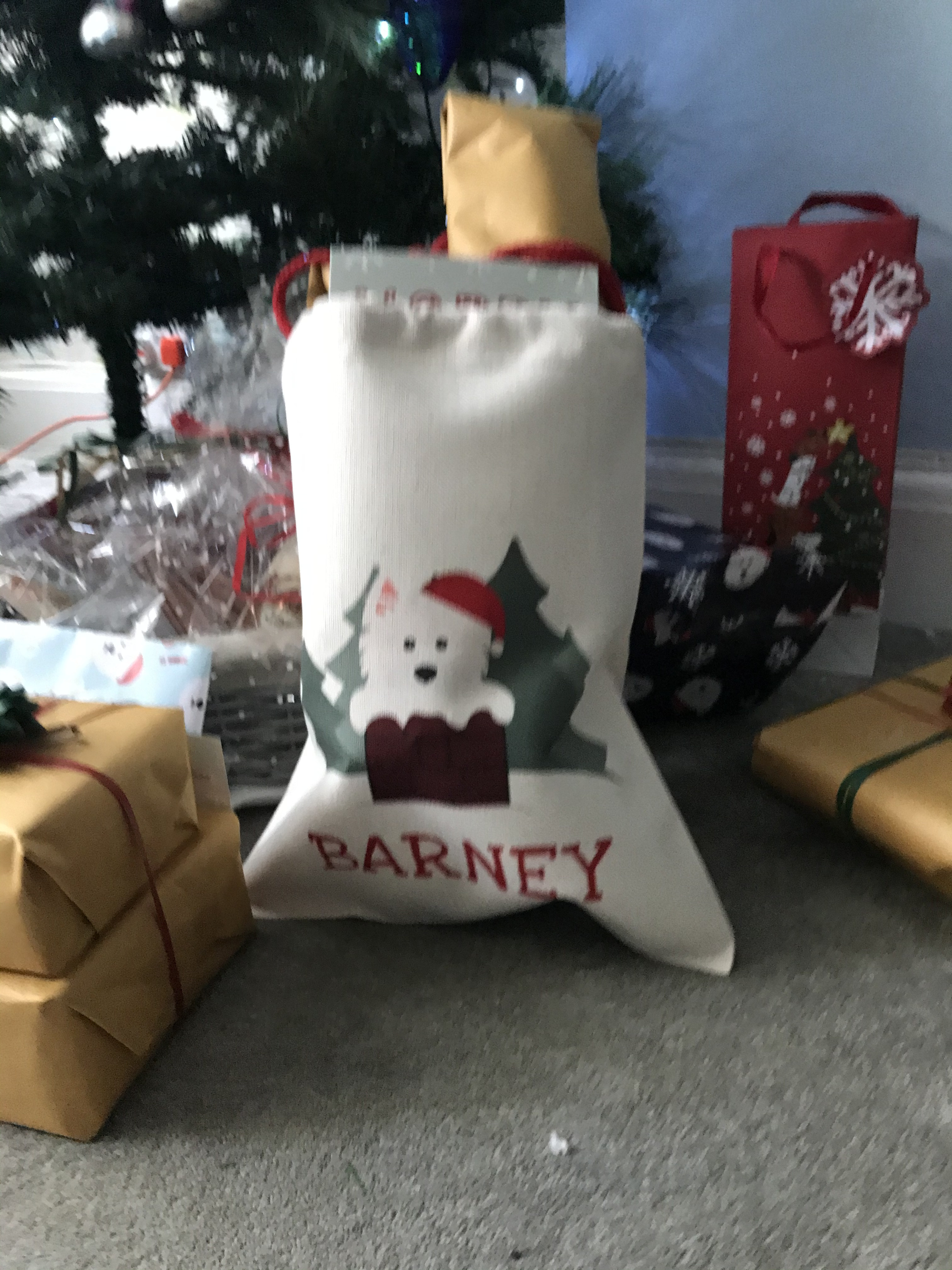 Customer photo of Snowy Chimney: Personalised Dog Santa Sack