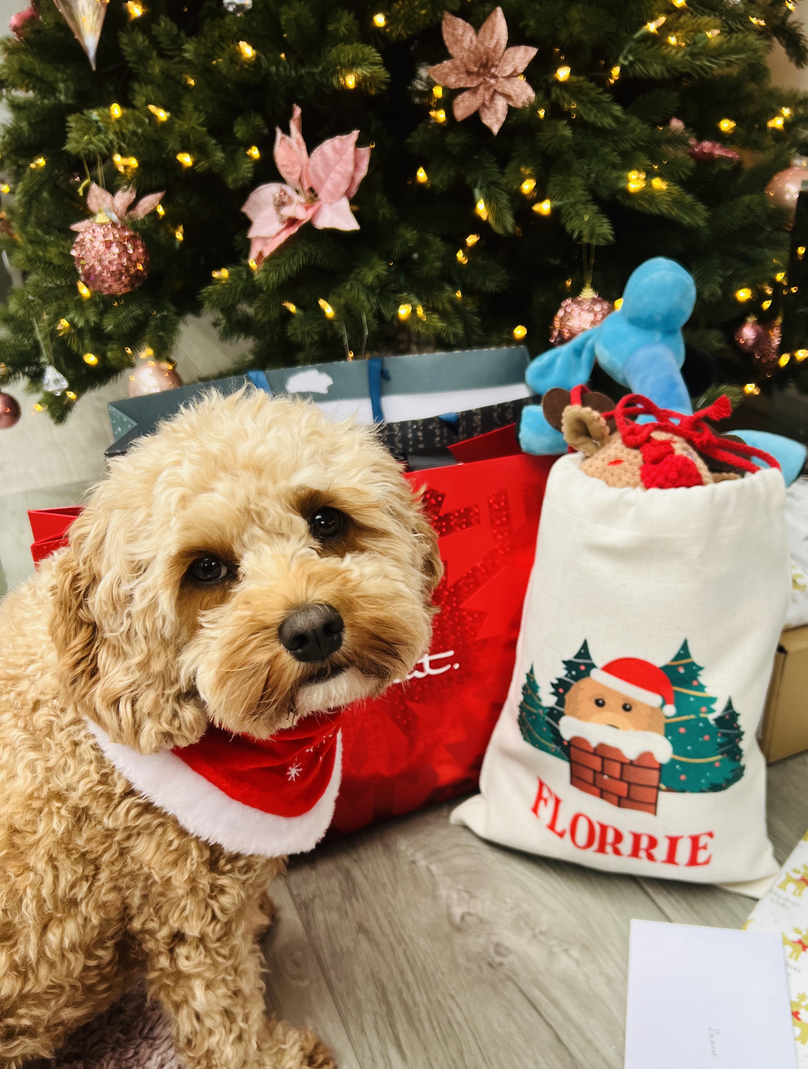 Customer photo of Snowy Chimney: Personalised Dog Santa Sack