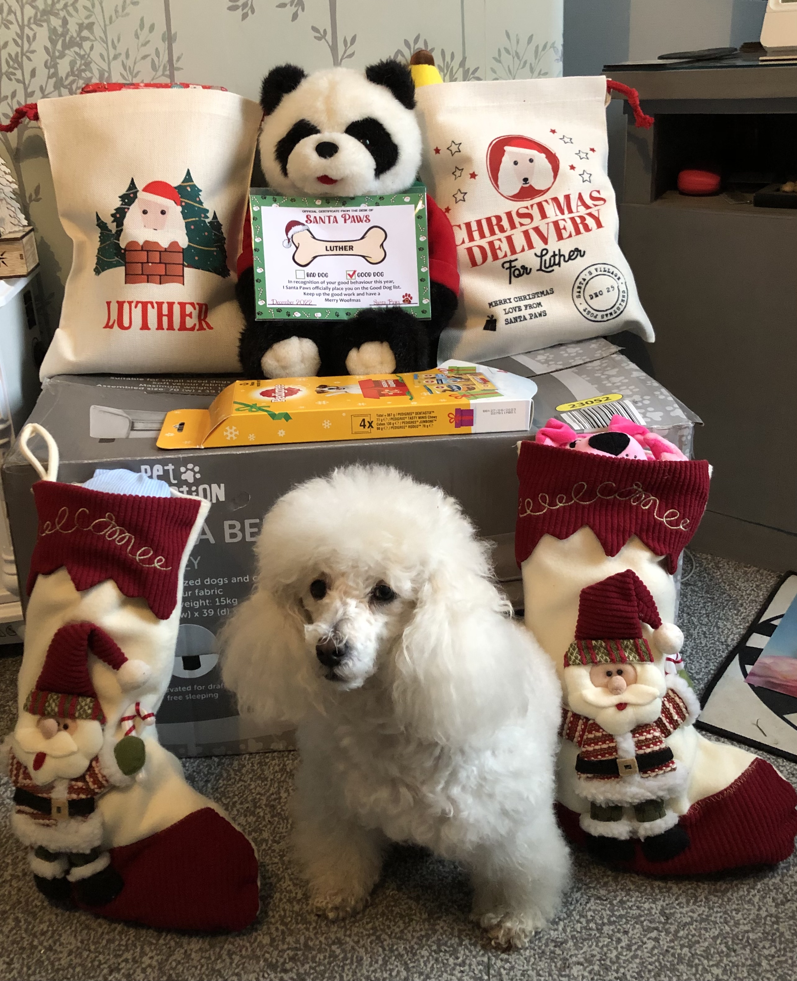 Customer photo of Snowy Chimney: Personalised Dog Santa Sack
