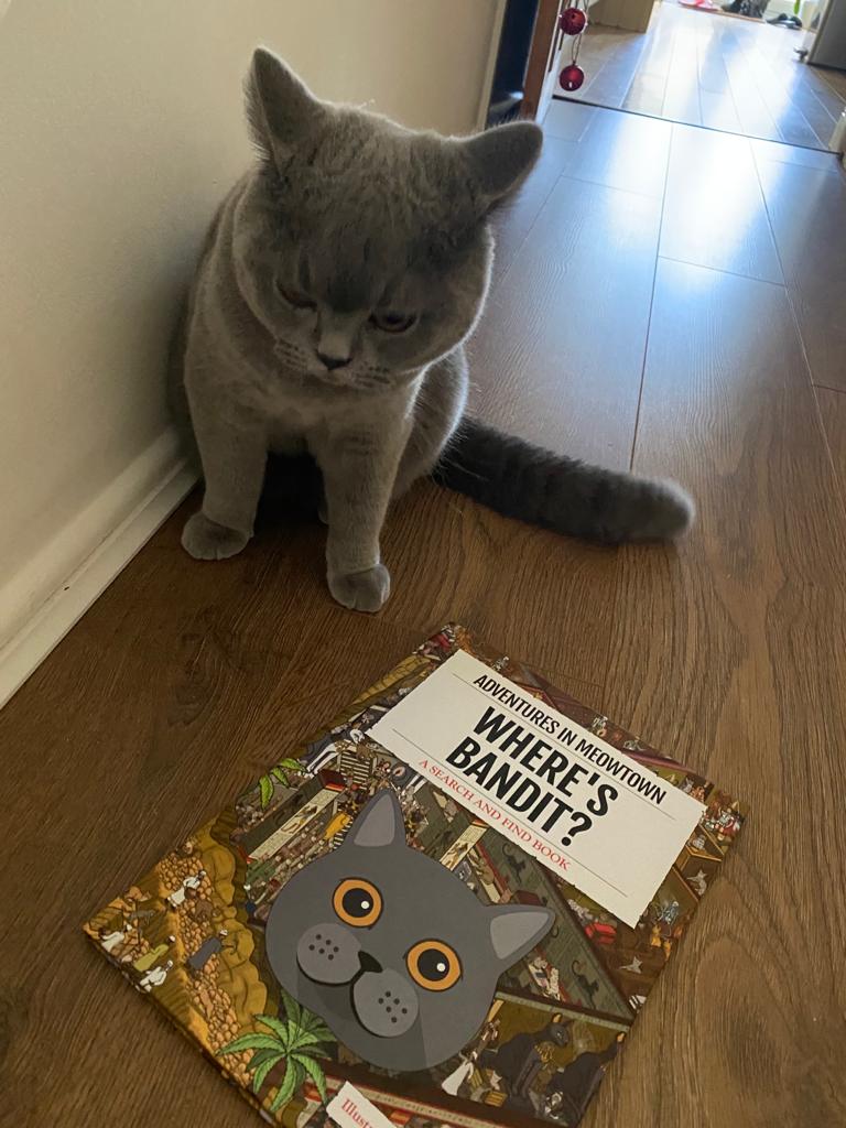 Customer photo of Personalised Cat Book: Where's Persian Traditional? Adventures in Meowtown