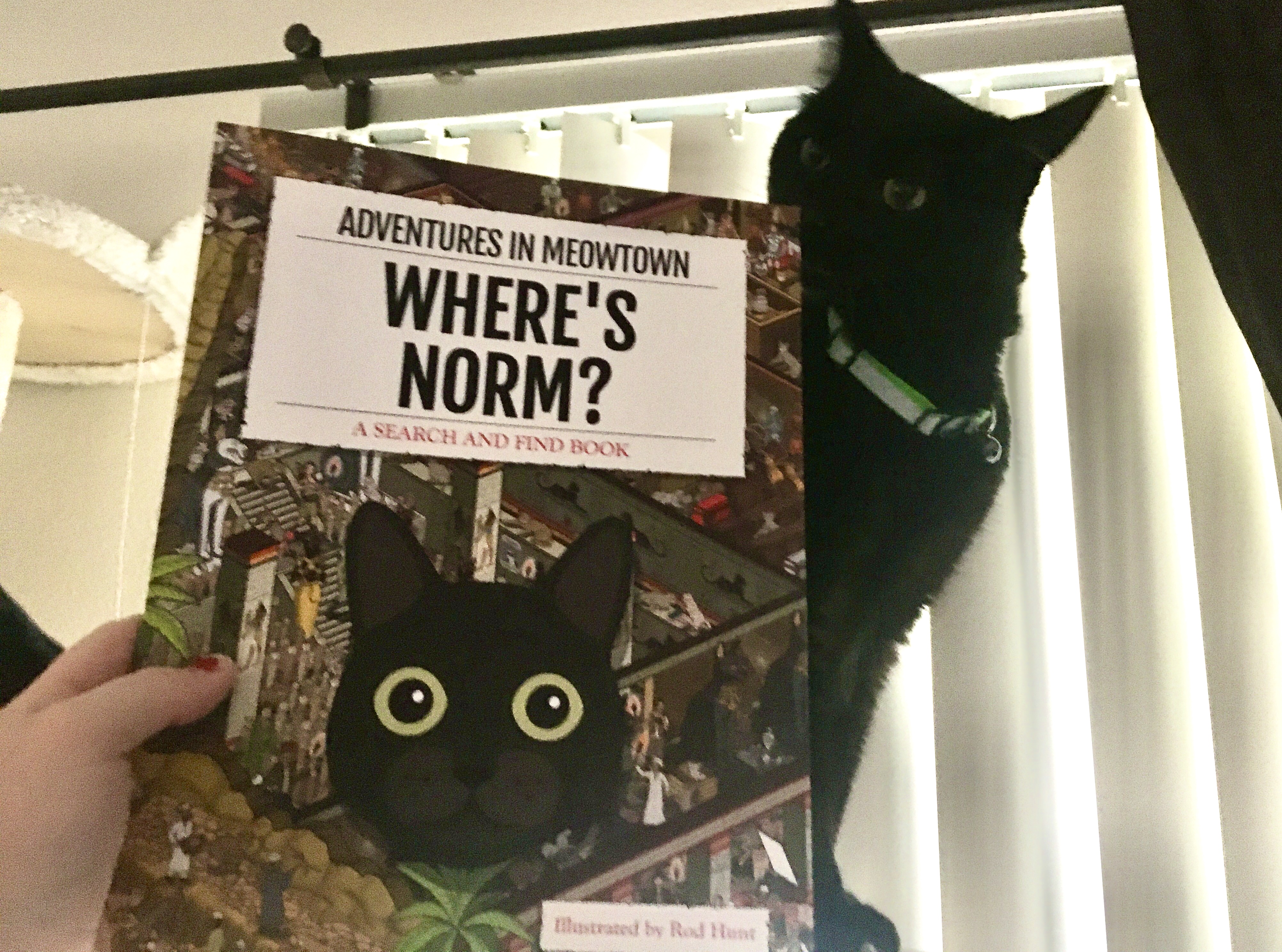 Customer photo of Personalised Cat Book: Where's Persian Traditional? Adventures in Meowtown