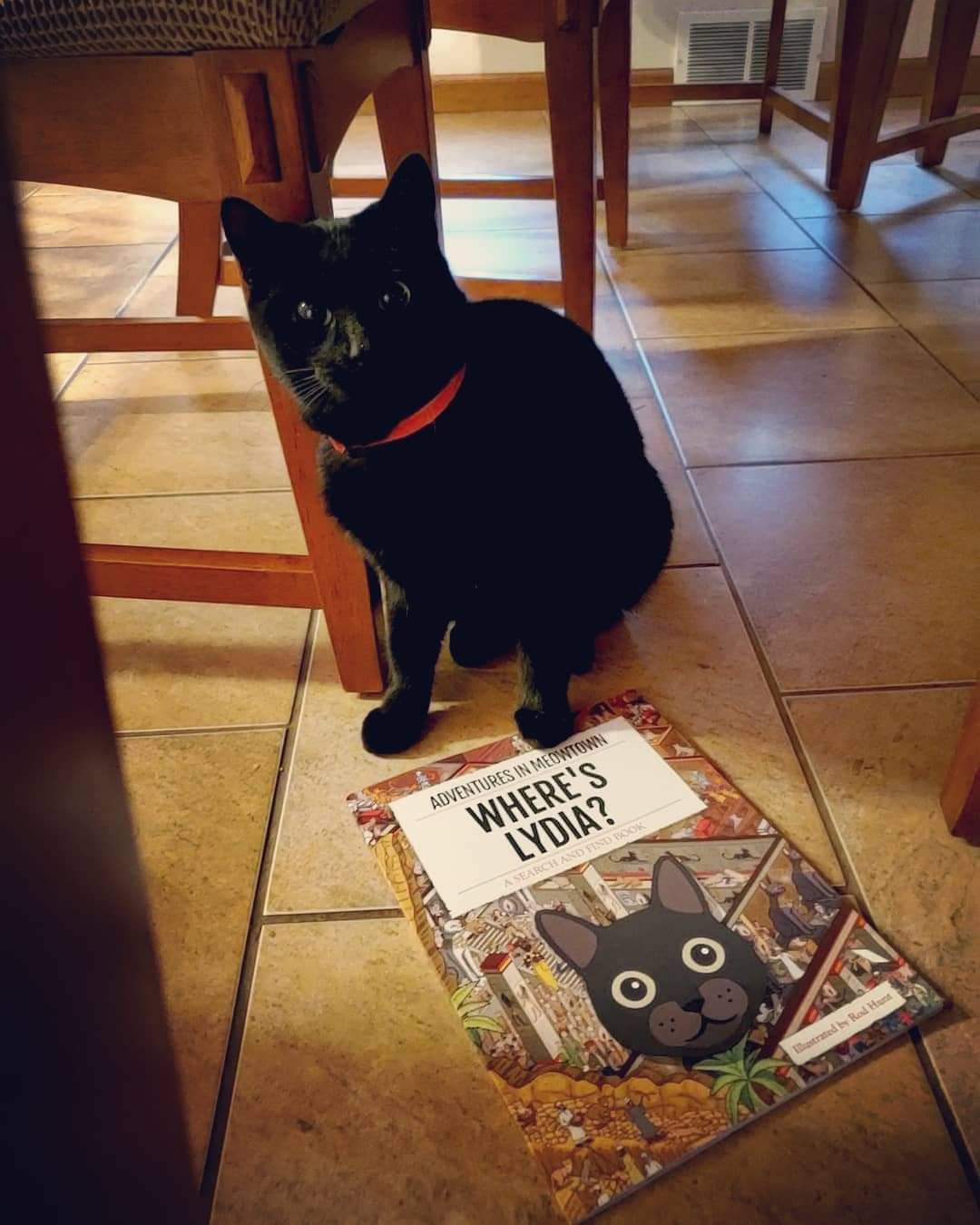 Customer photo of Personalised Cat Book: Where's Persian Traditional? Adventures in Meowtown