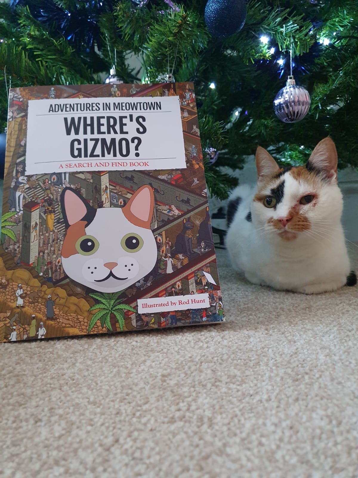 Customer photo of Personalised Cat Book: Where's Persian Traditional? Adventures in Meowtown
