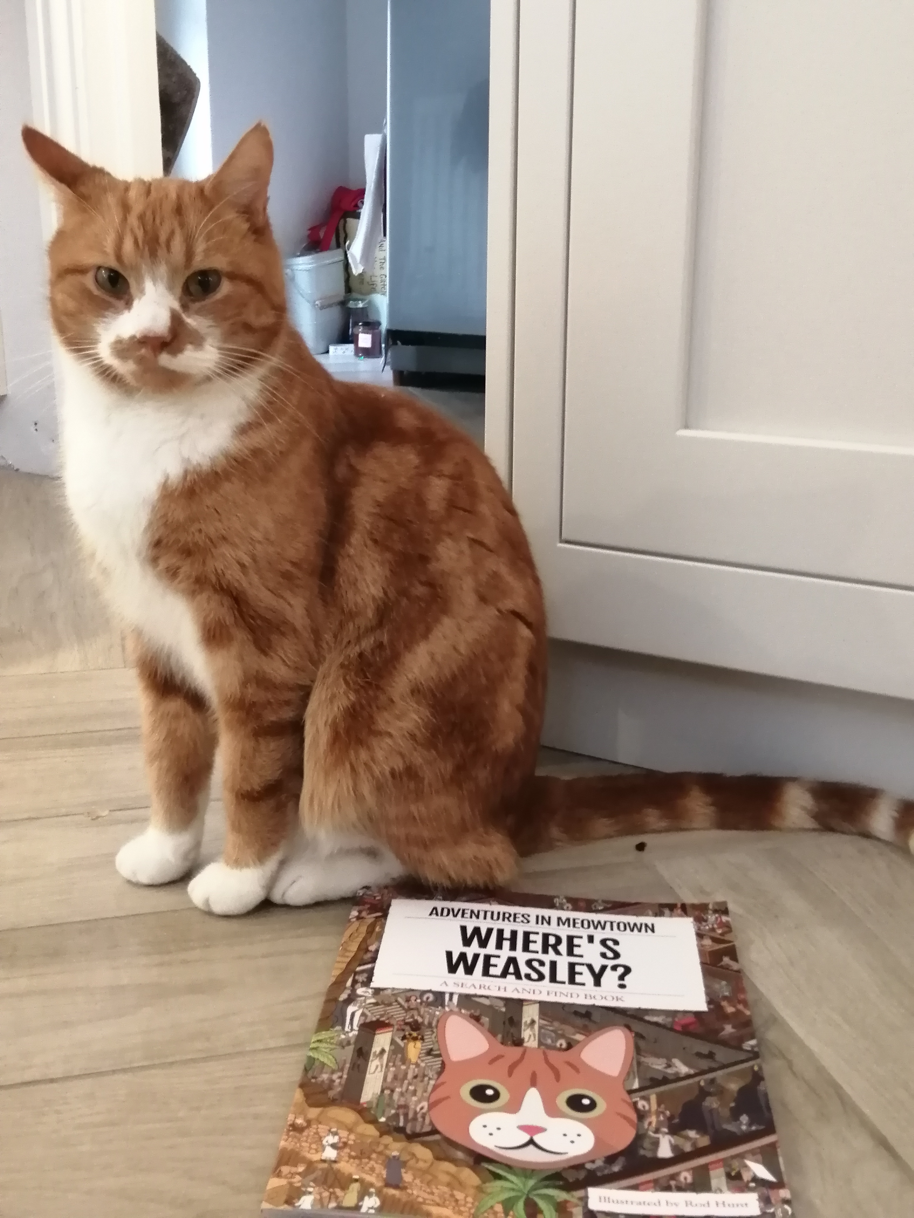 Customer photo of Personalised Cat Book: Where's Persian Traditional? Adventures in Meowtown