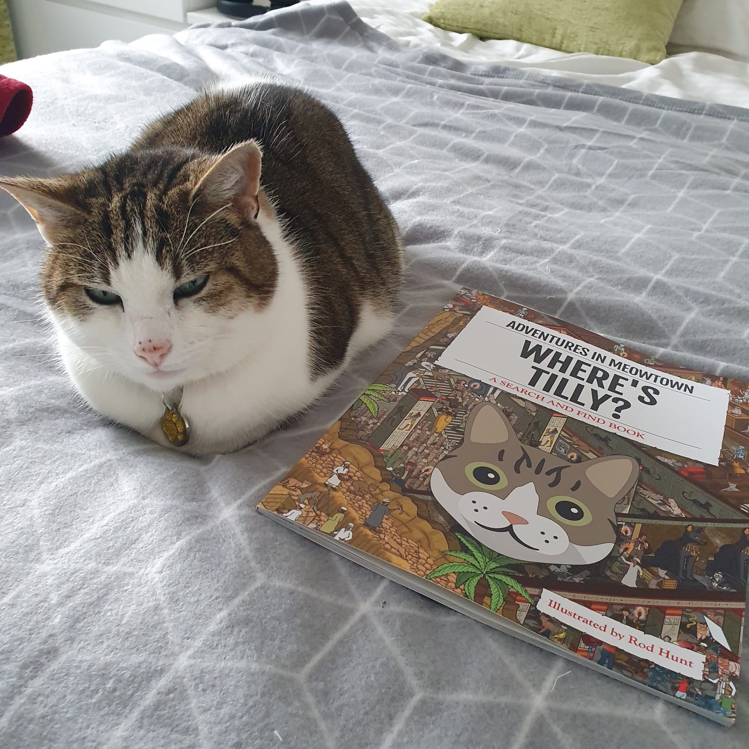 Customer photo of Personalised Cat Book: Where's Persian Traditional? Adventures in Meowtown