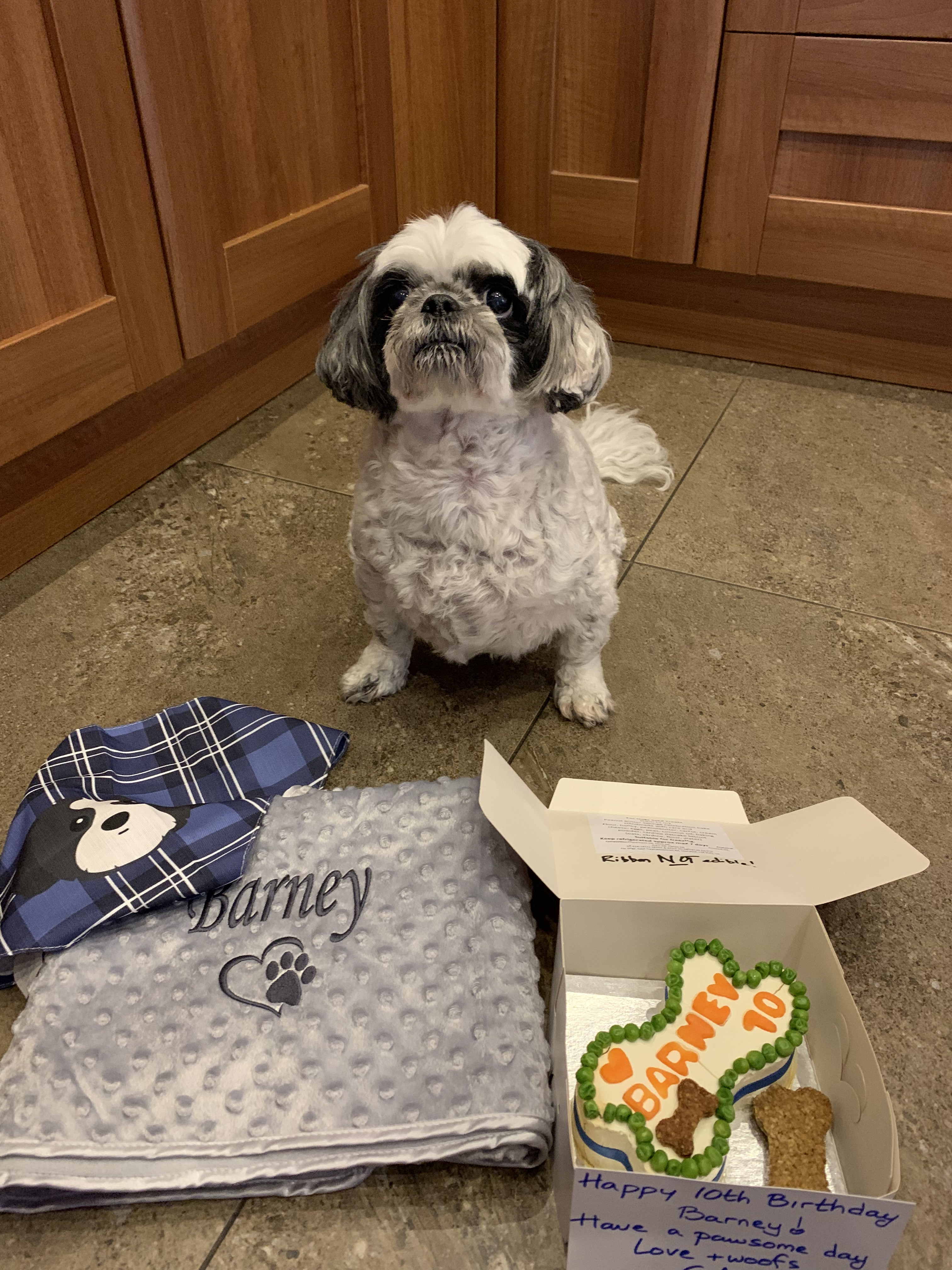 Customer photo of Scottish Tartan Pattern - Personalized Plott Hound Bandana