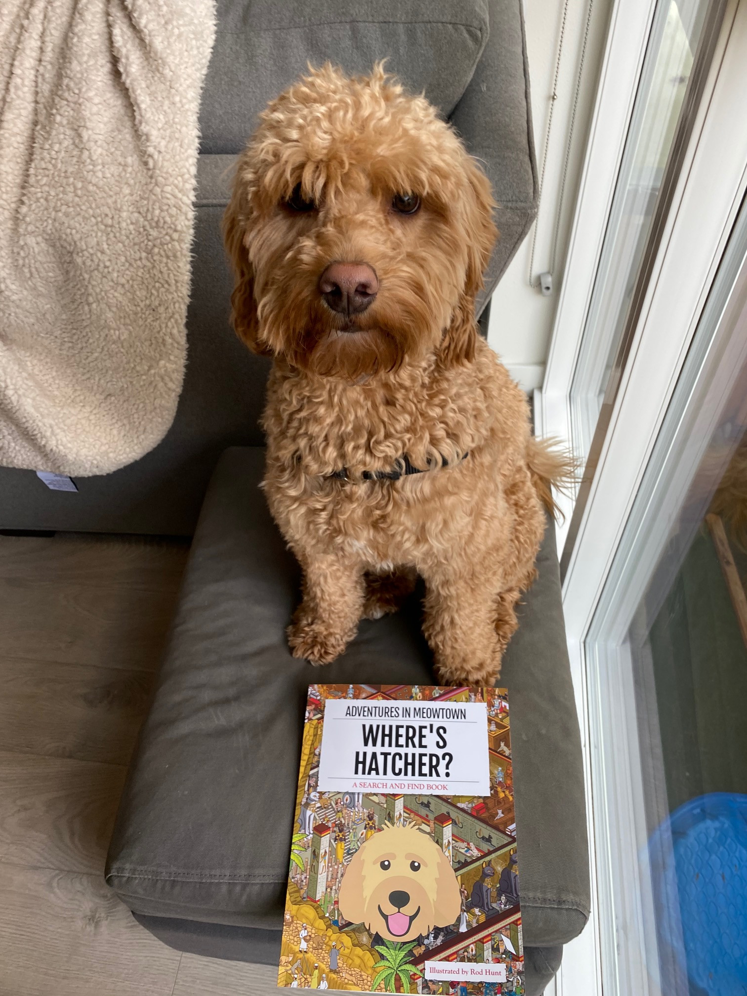 Customer photo of Personalized Book: Where's Pekingese? Adventures in Meowtown
