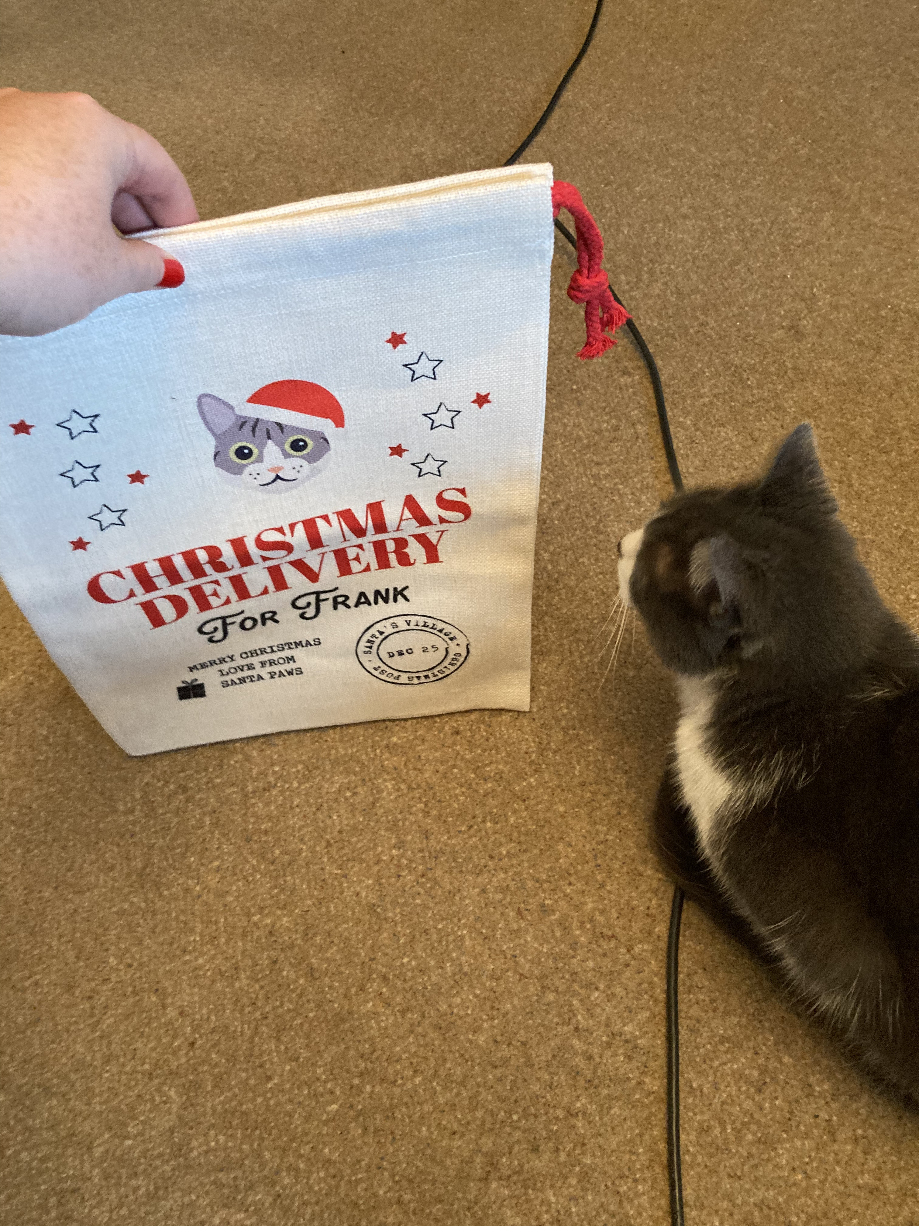 Customer photo of Christmas Delivery: Personalised Cat Santa Sack