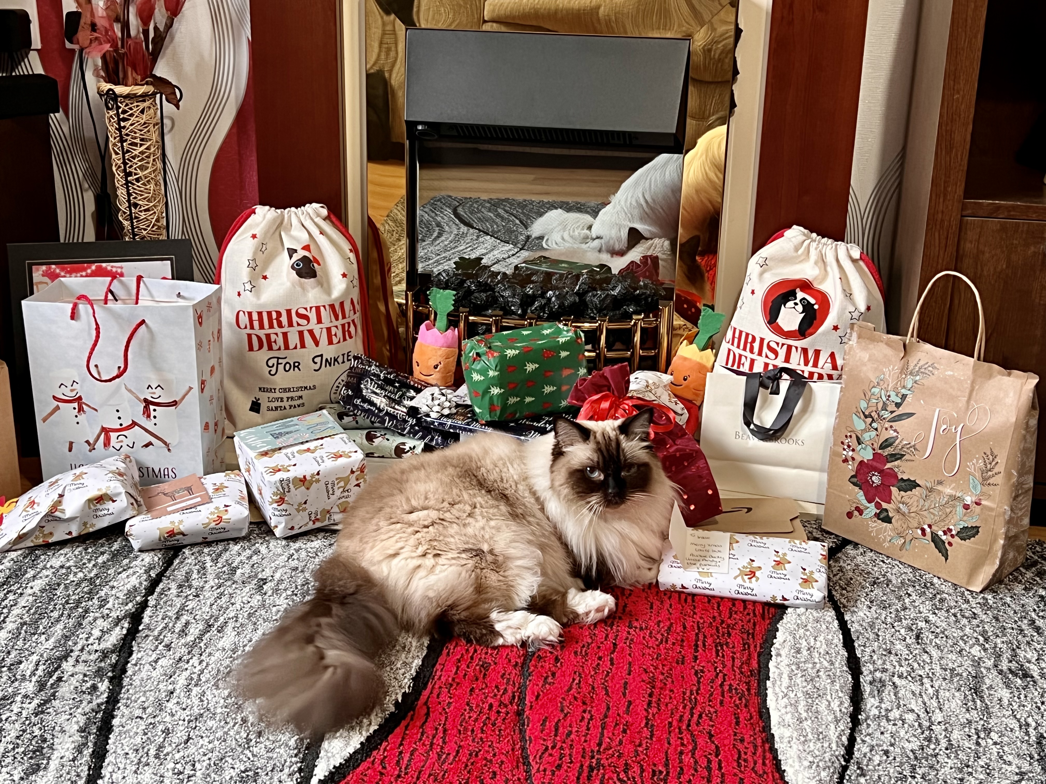 Customer photo of Christmas Delivery: Personalised Cat Santa Sack