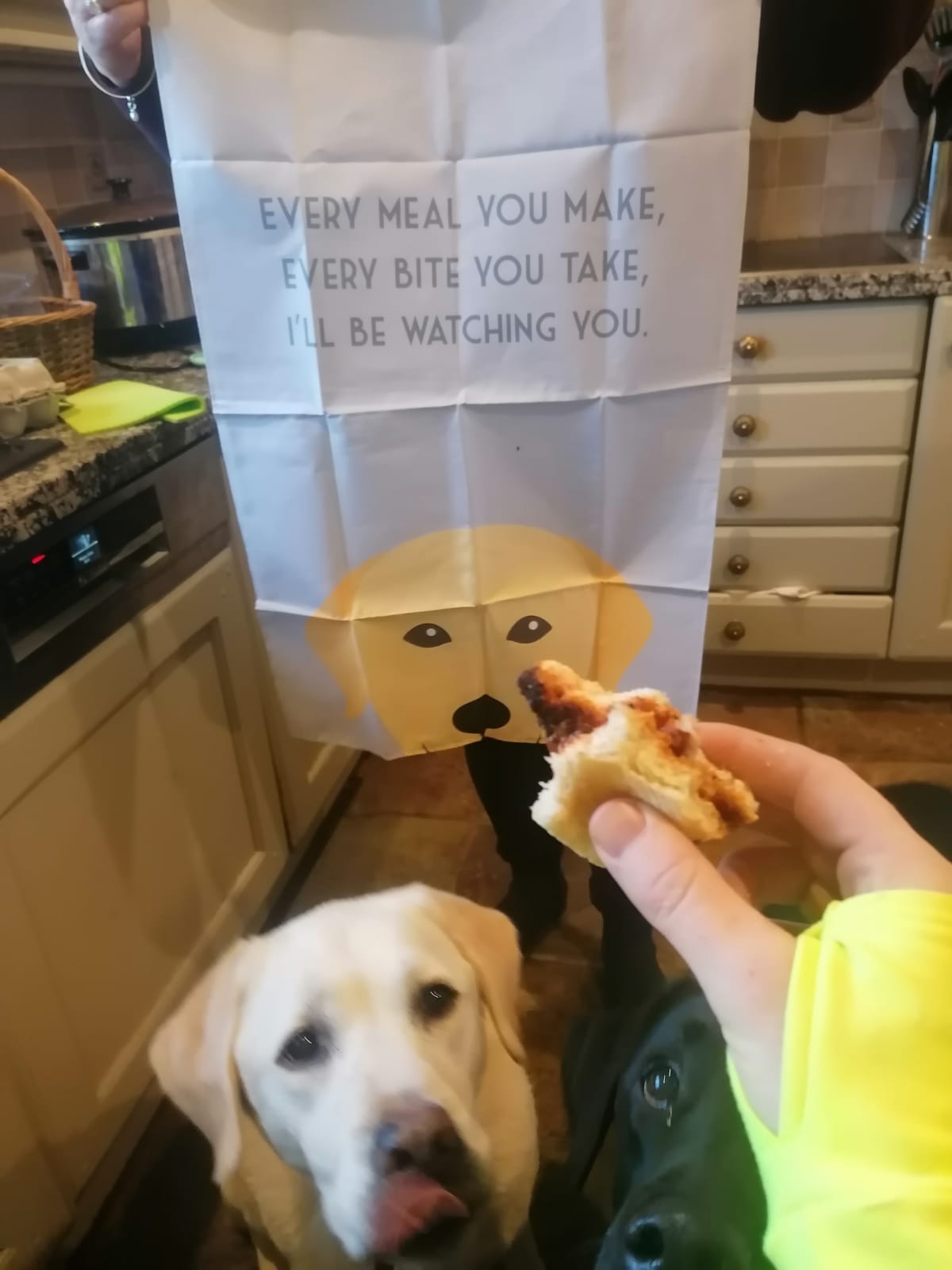 Customer photo of 'I'll Be Watching You' - Personalized Plott Hound Dish Towel