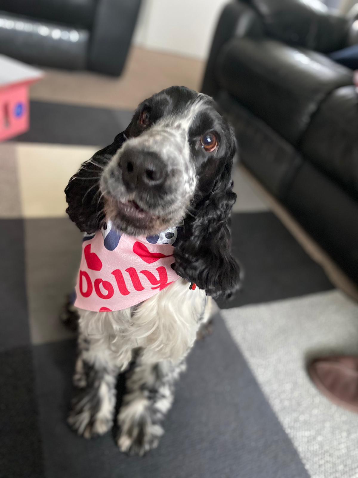 Customer photo of 'Heart Pattern' - Personalized Cockapoo Bandana