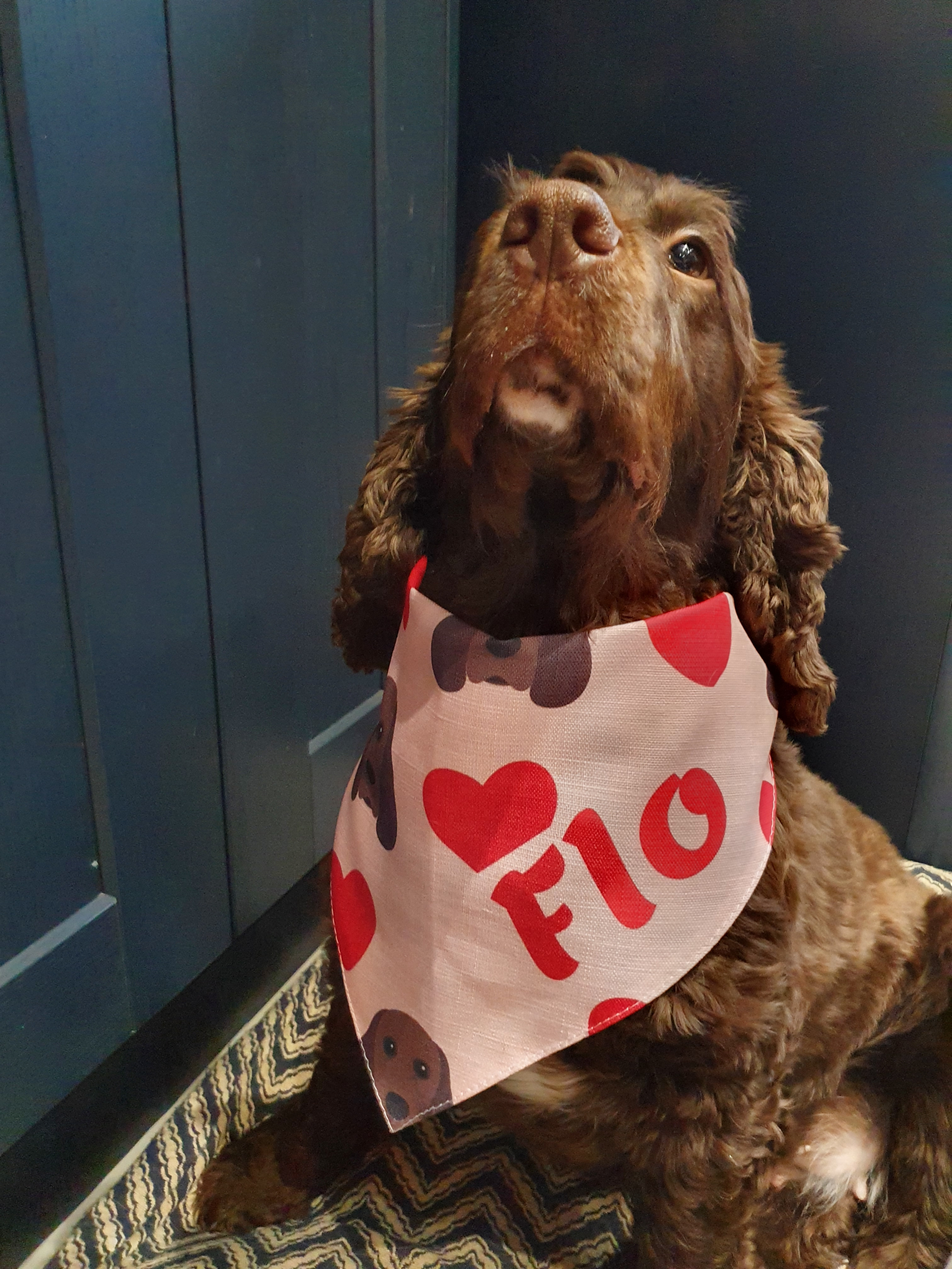 Customer photo of 'Heart Pattern' - Personalized Cockapoo Bandana