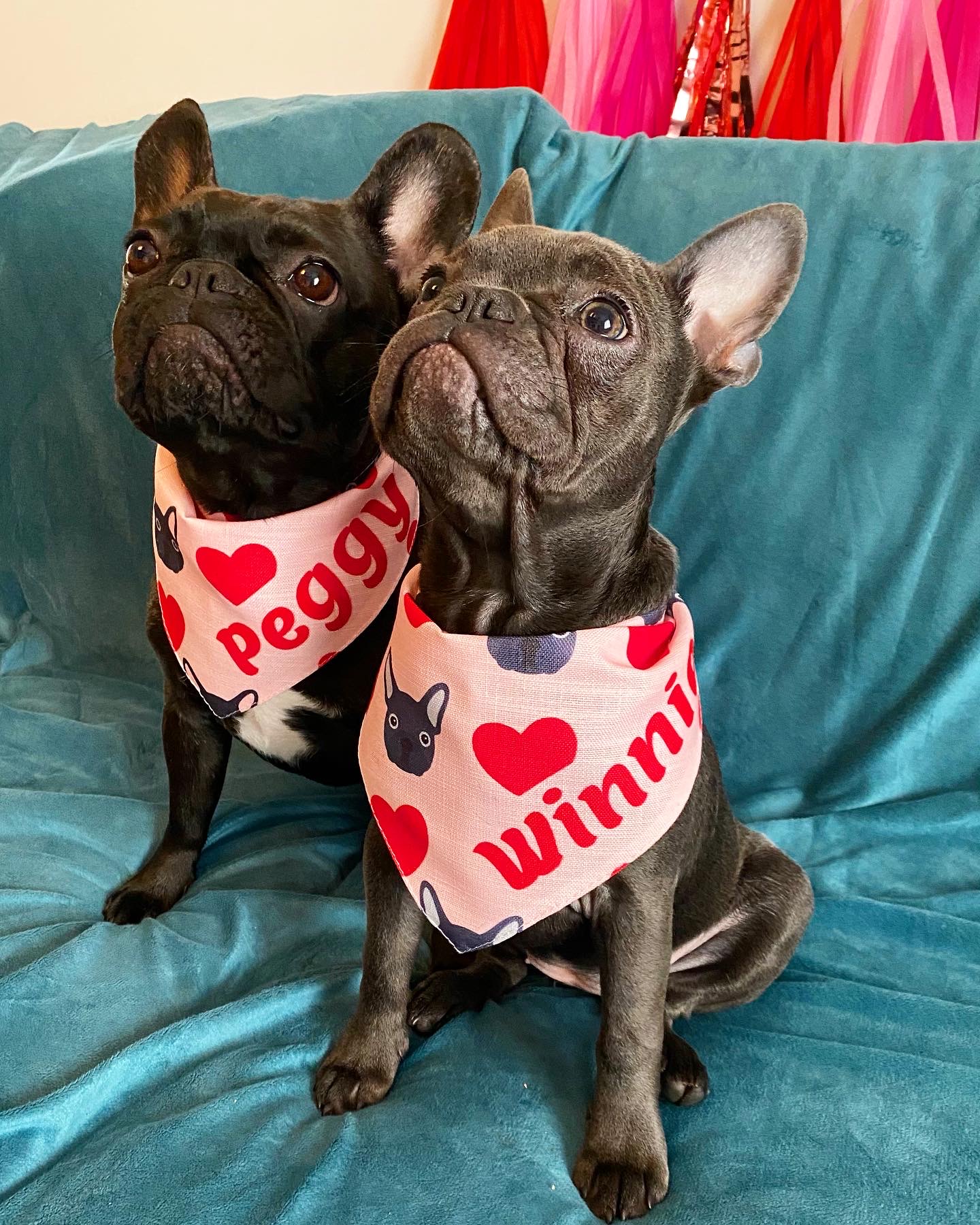 Customer photo of 'Heart Pattern' - Personalized Cockapoo Bandana