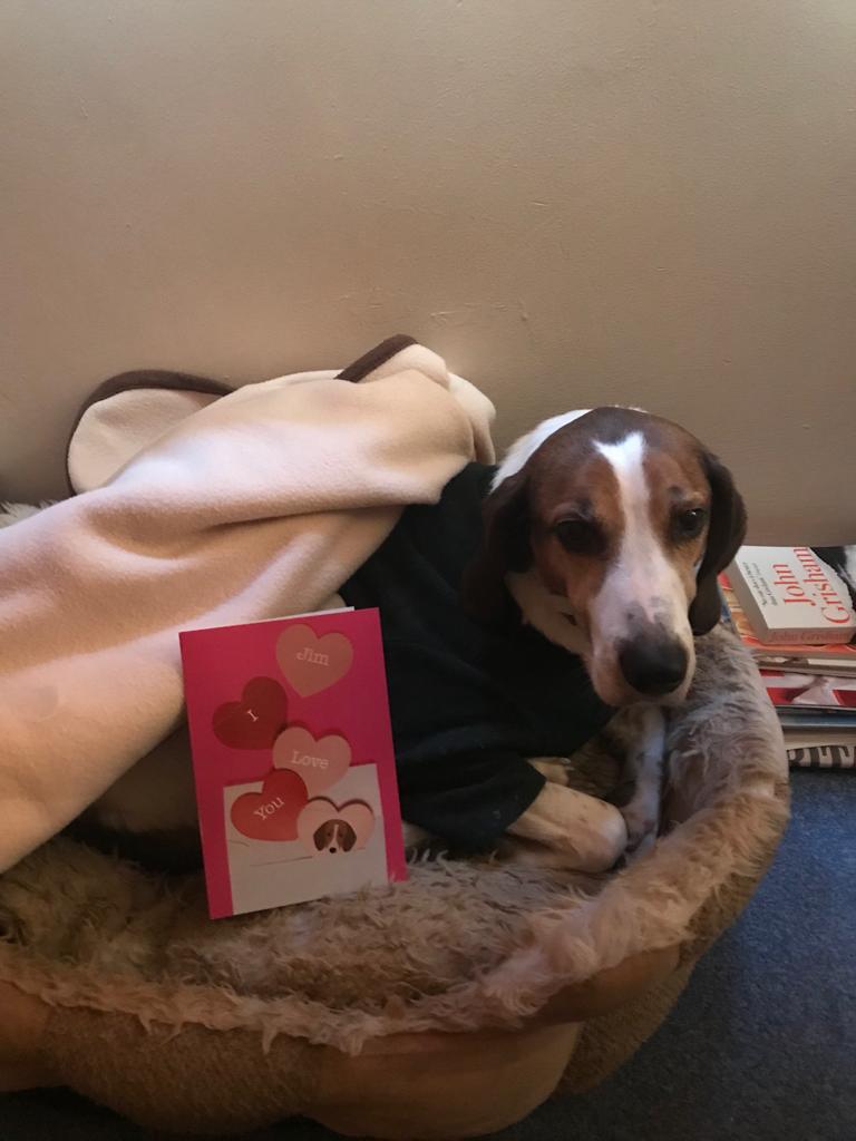 Customer photo of 'I Love You' - Personalised Dog Card