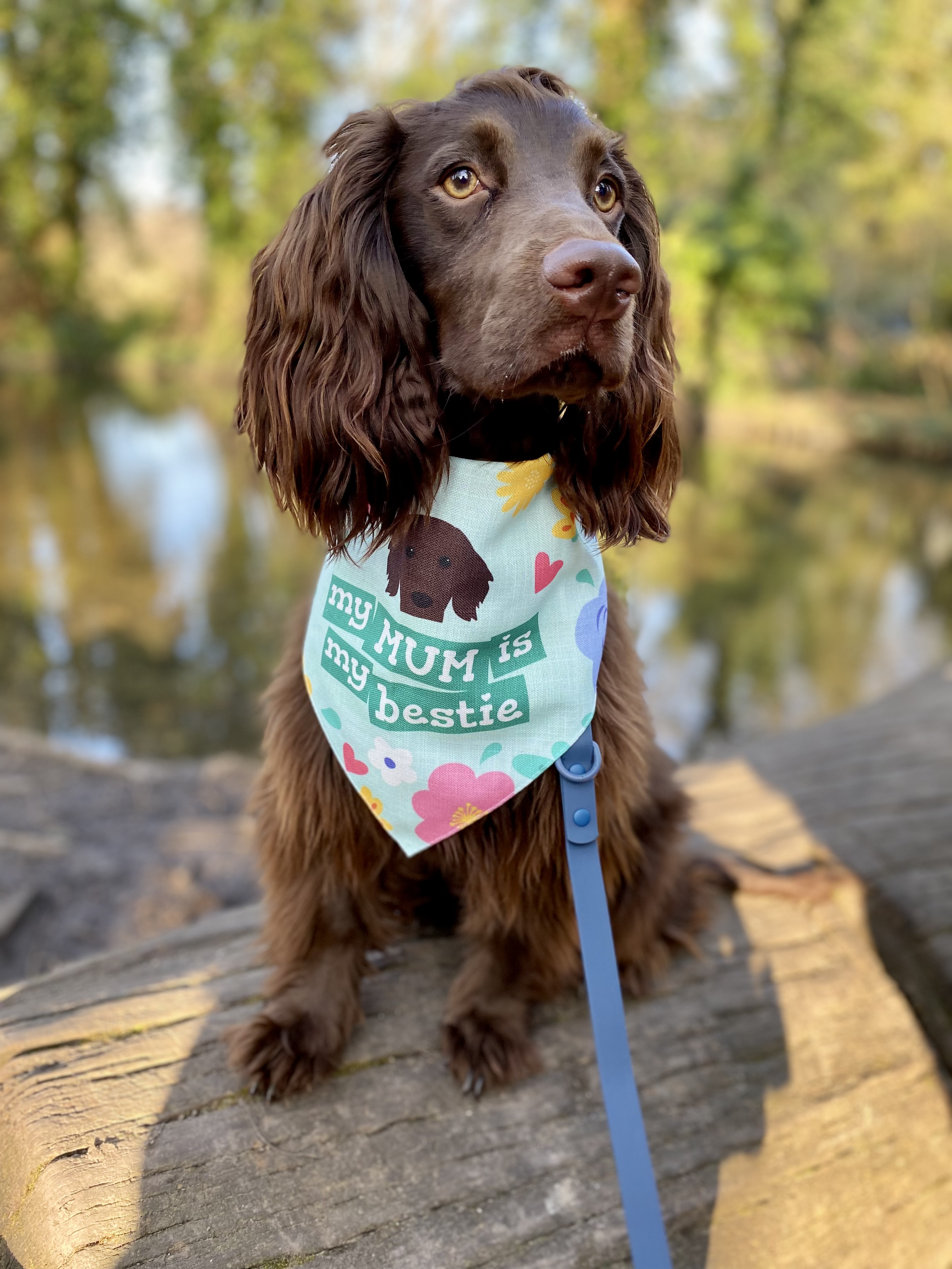 Customer photo of 'Mum Is My Bestie' - Personalised Hungarian Vizsla Bandana