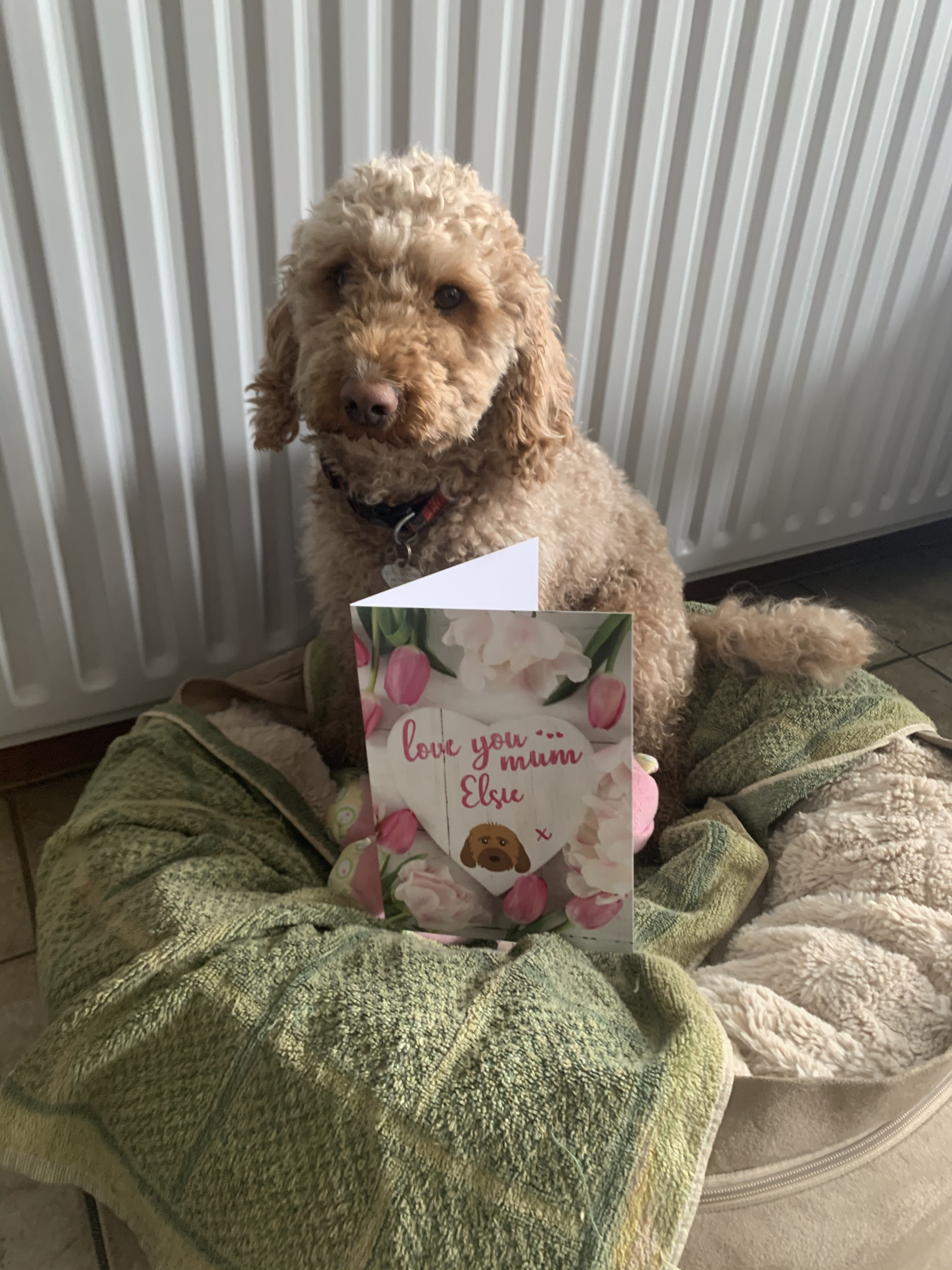 Customer photo of 'Love You Mom' - Personalized Pugapoo Card