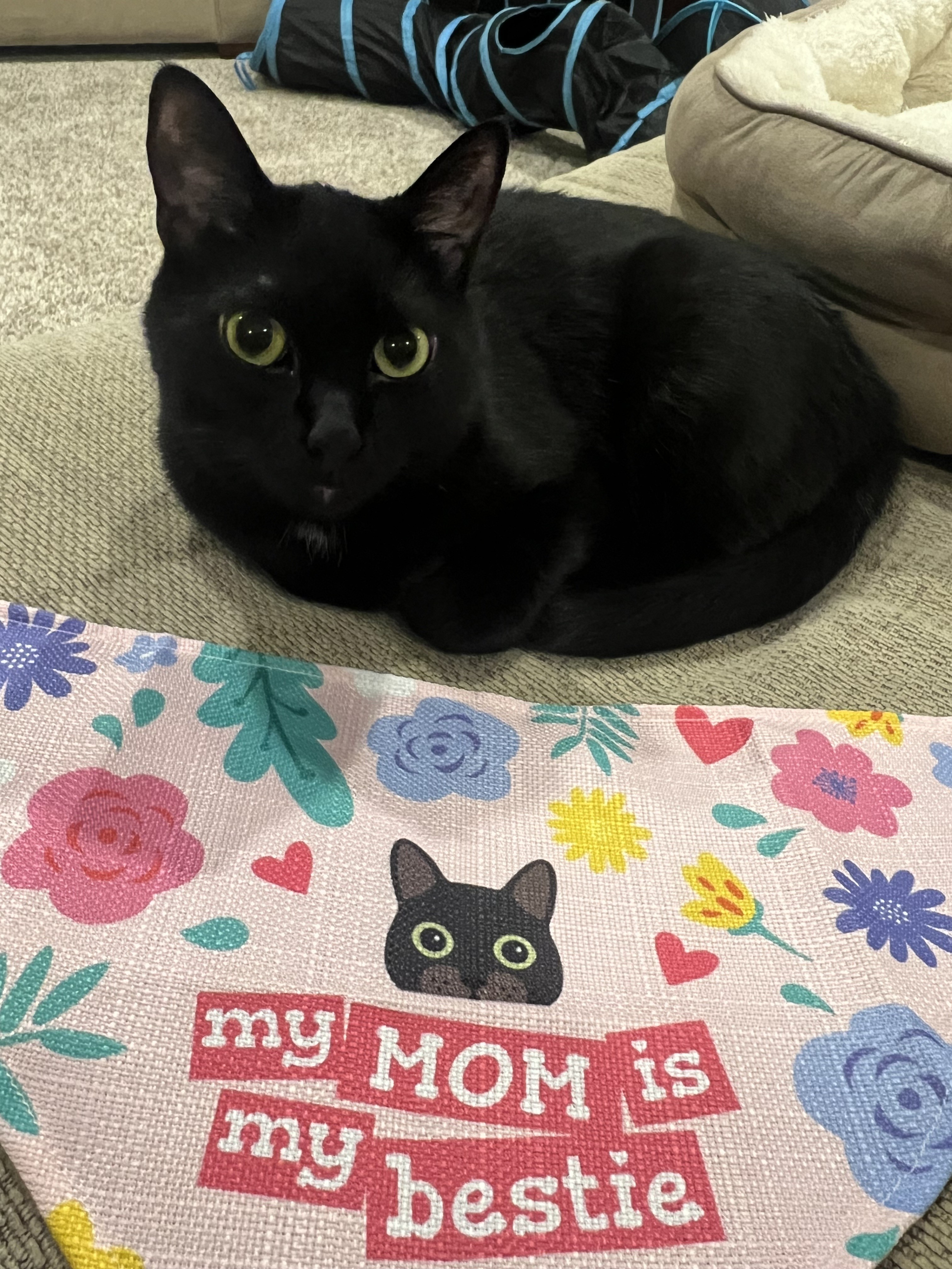 Customer photo of 'Mum Is My Bestie' - Personalised Ashera Bandana