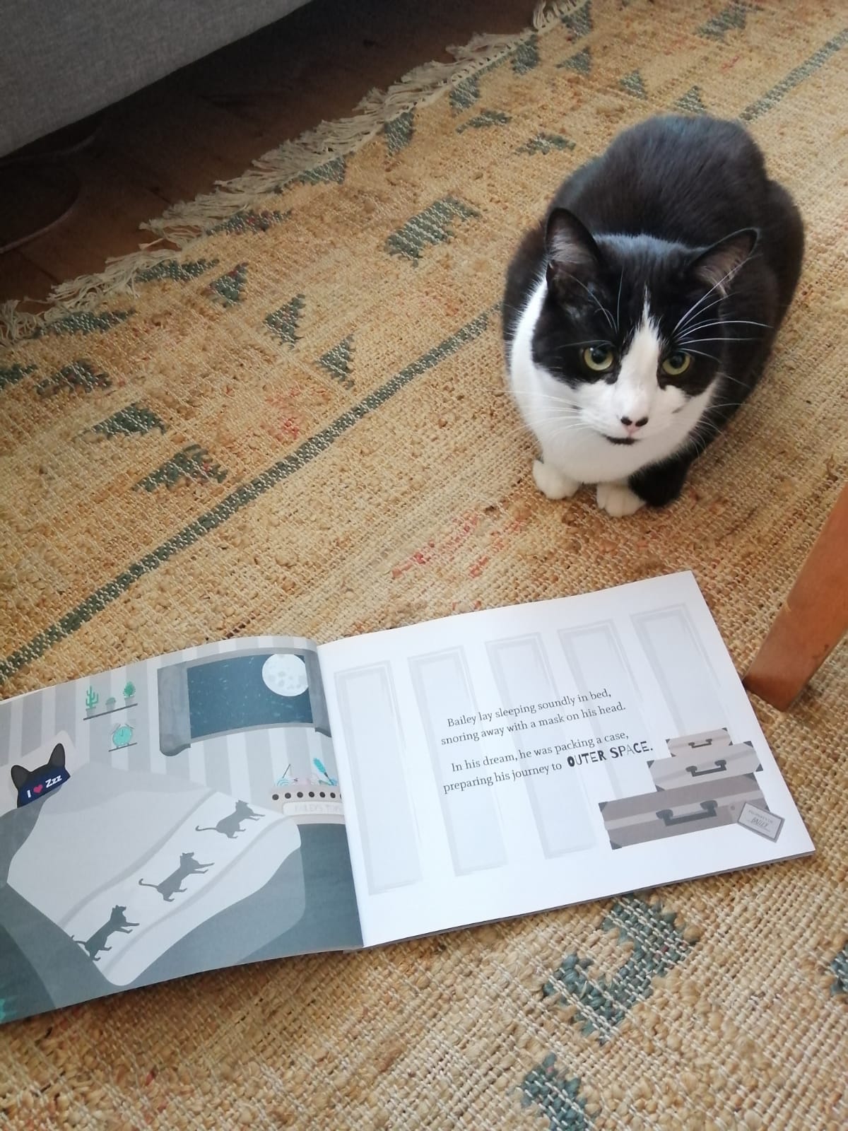 Customer photo of Personalised Cat Story Book: Persian Traditional's Wondrous Adventures
