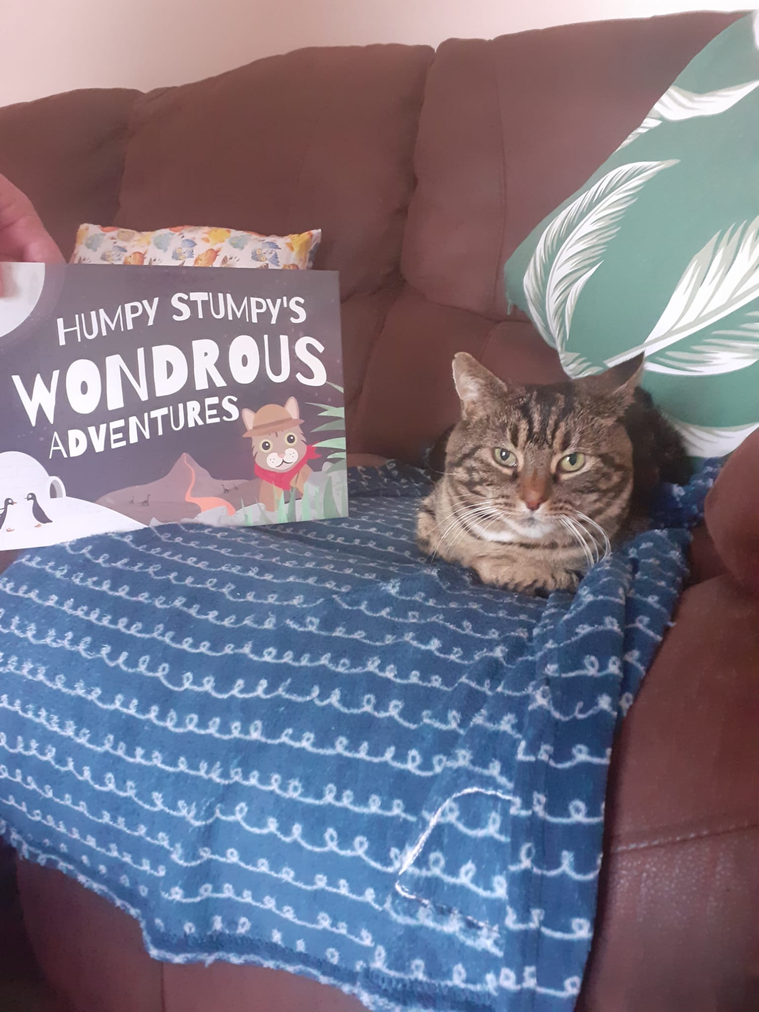 Customer photo of Personalised Cat Story Book: Persian Traditional's Wondrous Adventures