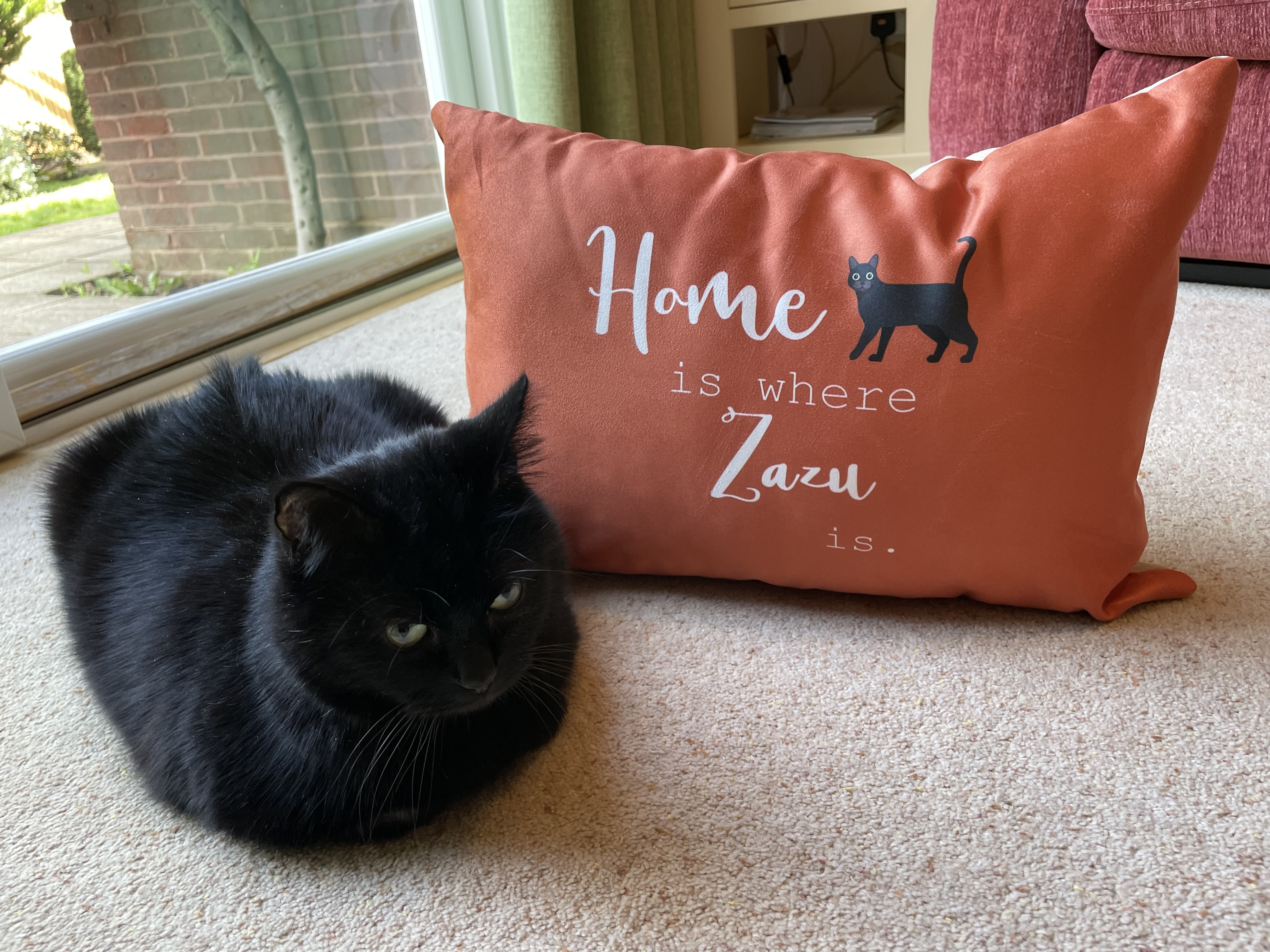 Customer photo of Home Is Where... : Personalised Cat Soft Touch Cushion