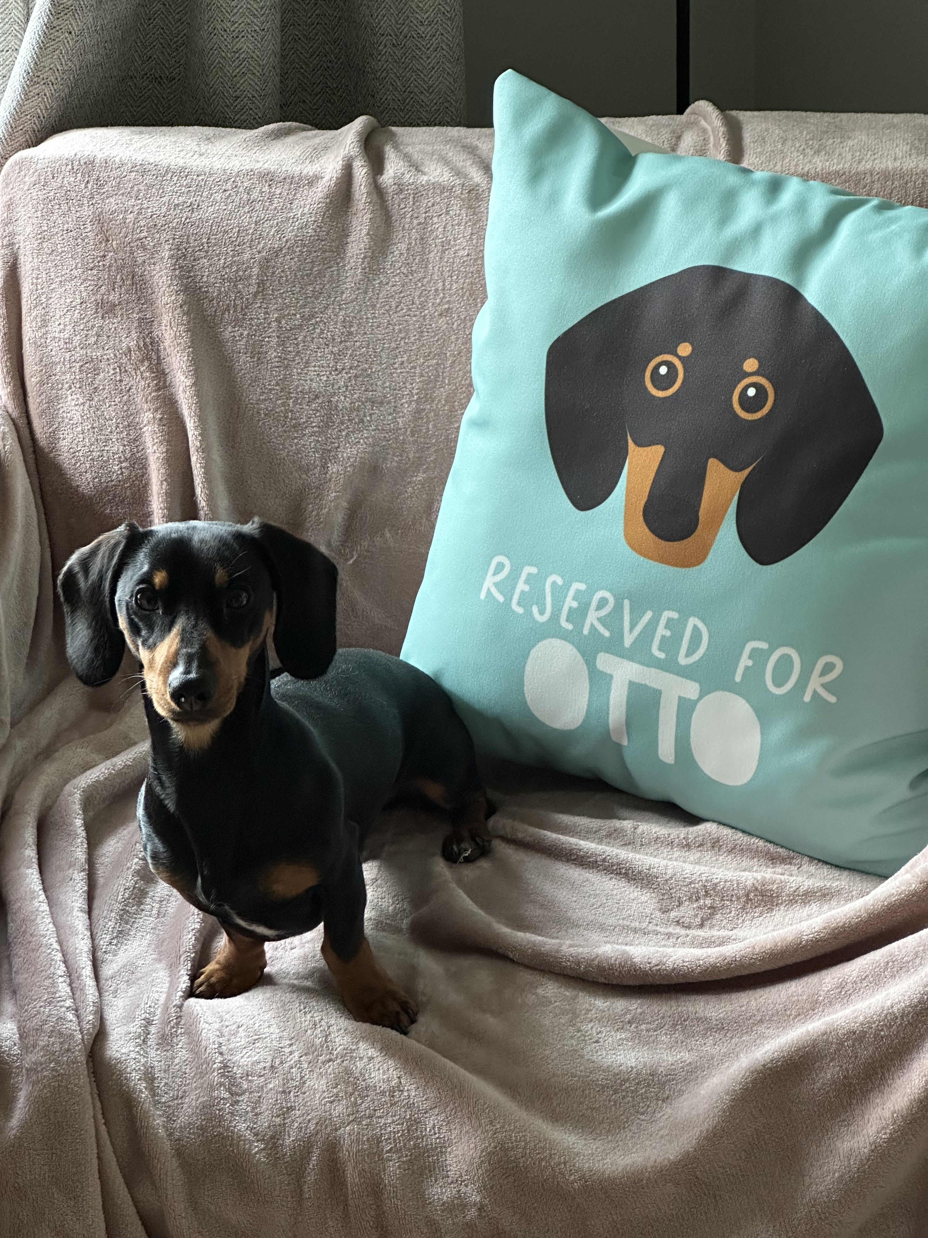 Customer photo of Reserved for Jack-A-Poo: Personalized Jack-A-Poo Canvas Pillow
