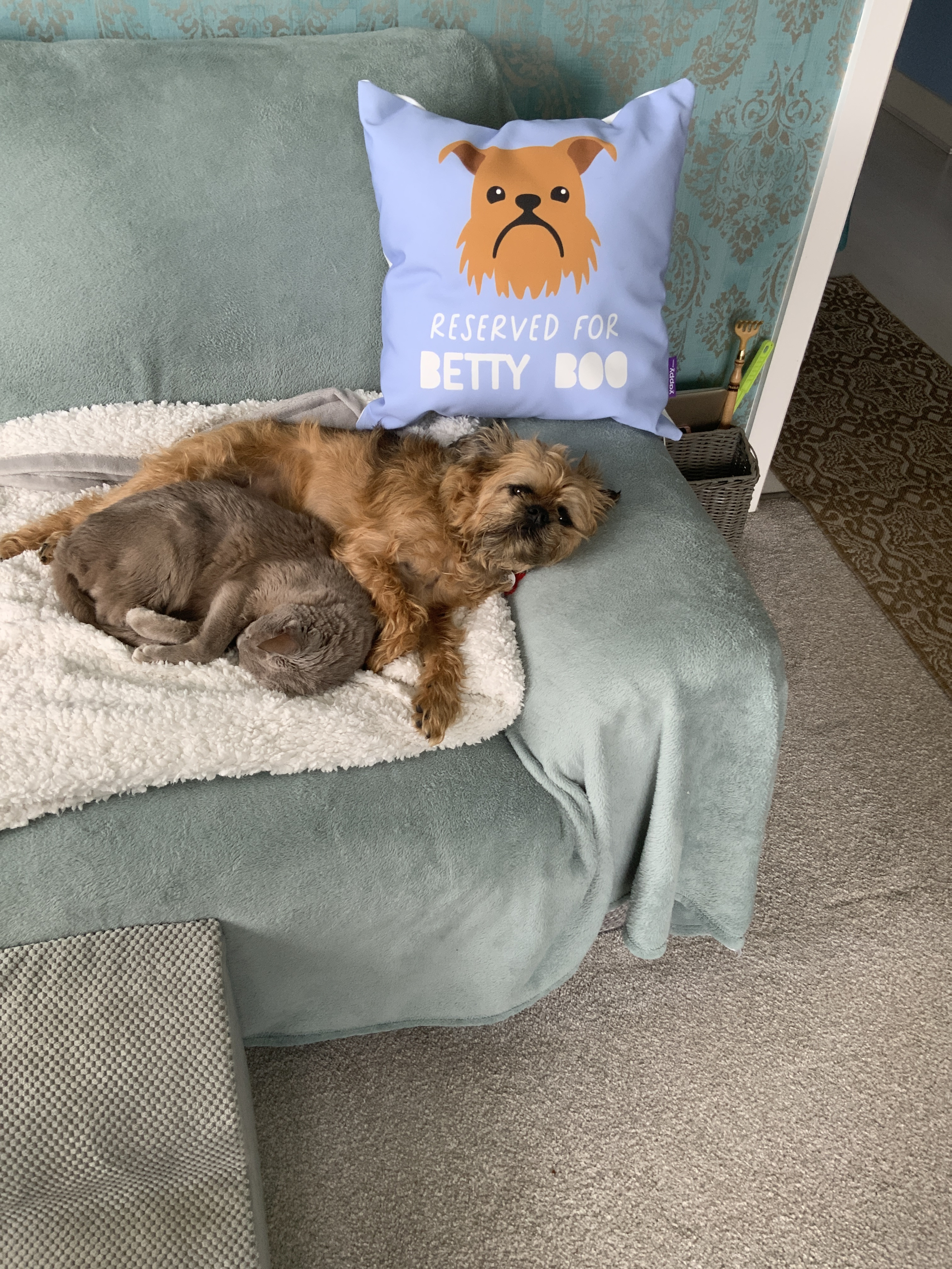 Customer photo of Reserved for Jack-A-Poo: Personalized Jack-A-Poo Canvas Pillow