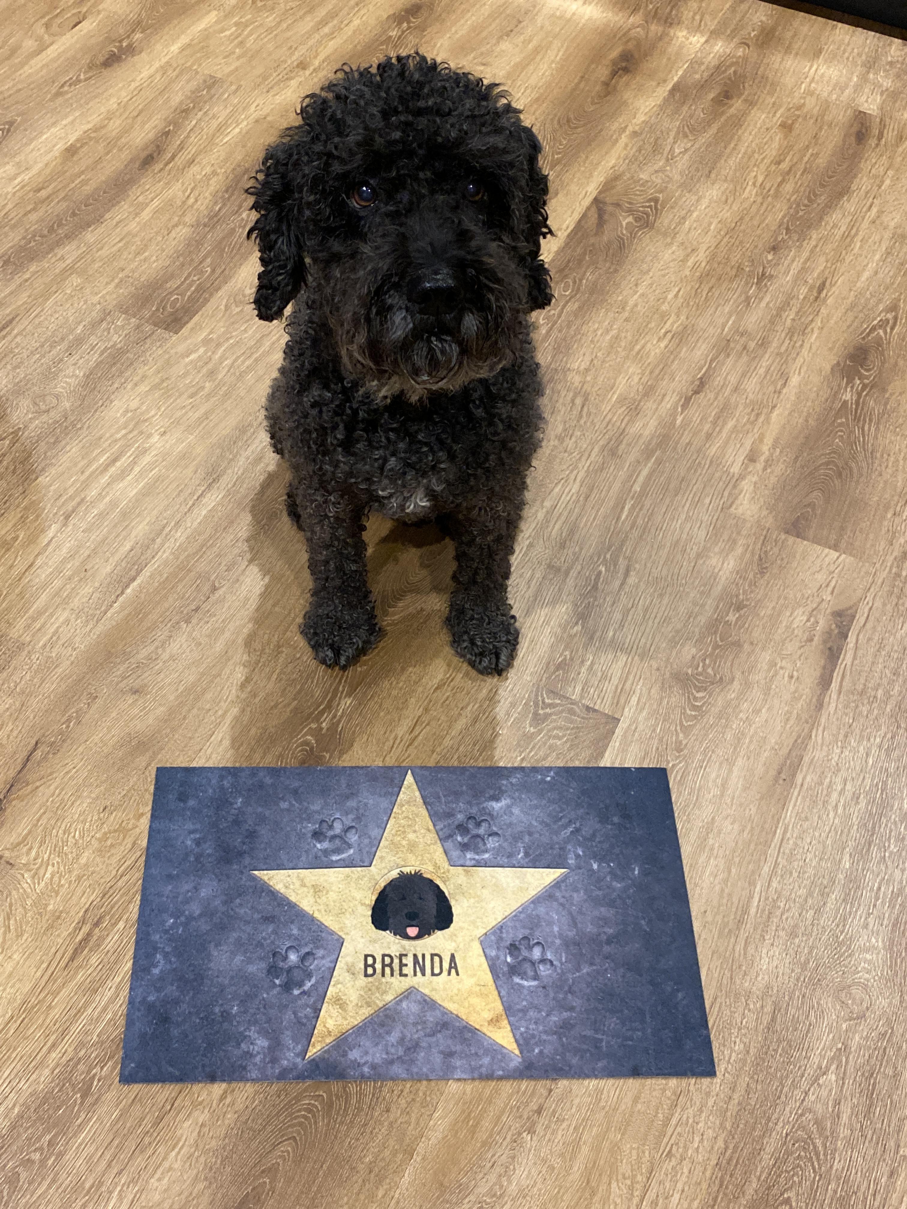 Customer photo of Star of Fame: Personalised Hungarian Vizsla Feeding Mat