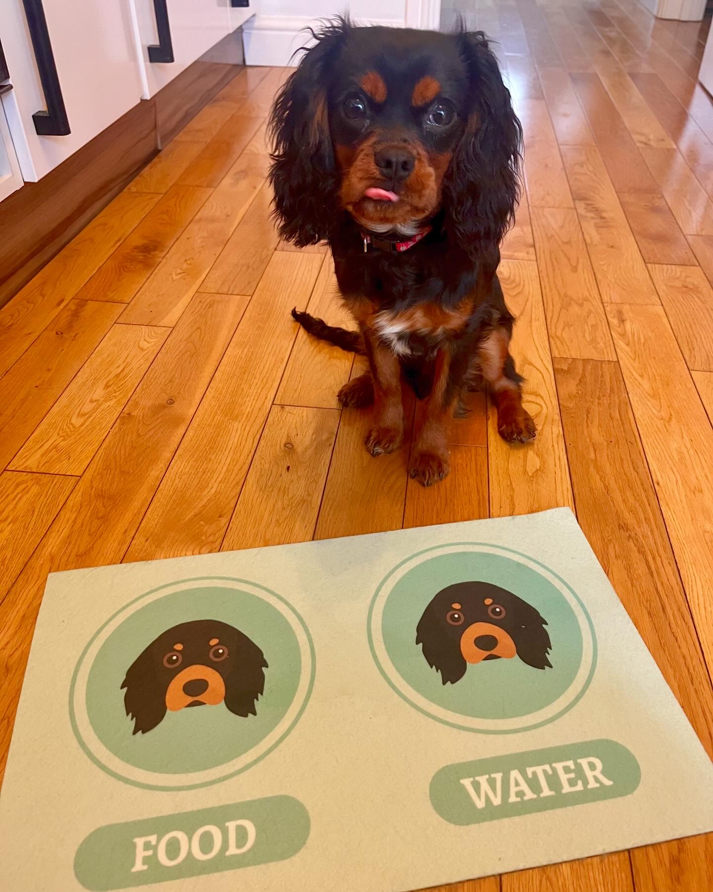 Customer photo of 'Yappicons' - Personalized Lhasapoo Feeding Mat