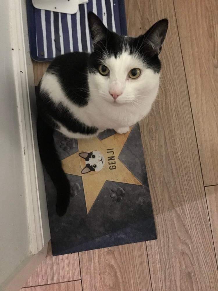 Customer photo of Star of Fame: Personalised Ashera Feeding Mat