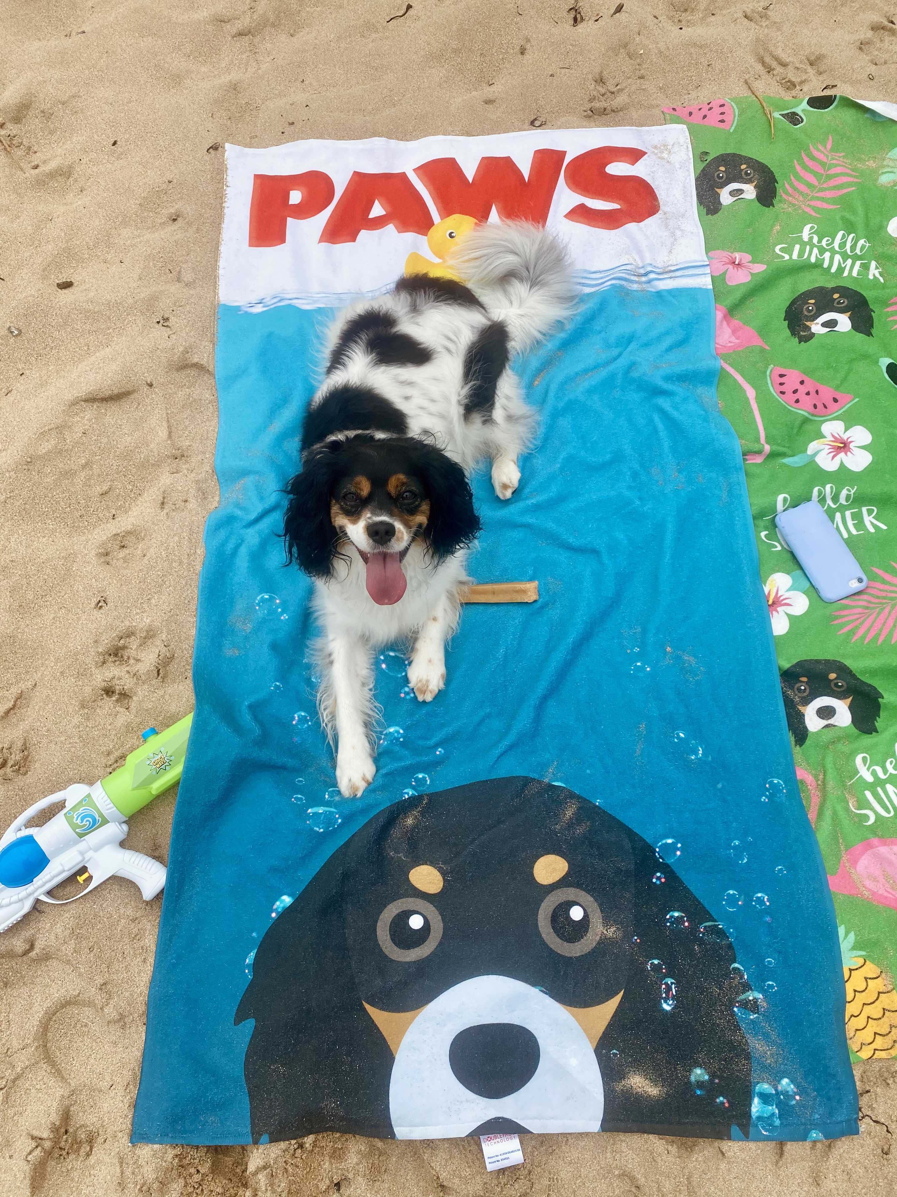 Customer photo of Paws: Personalized Jack-A-Poo Towel